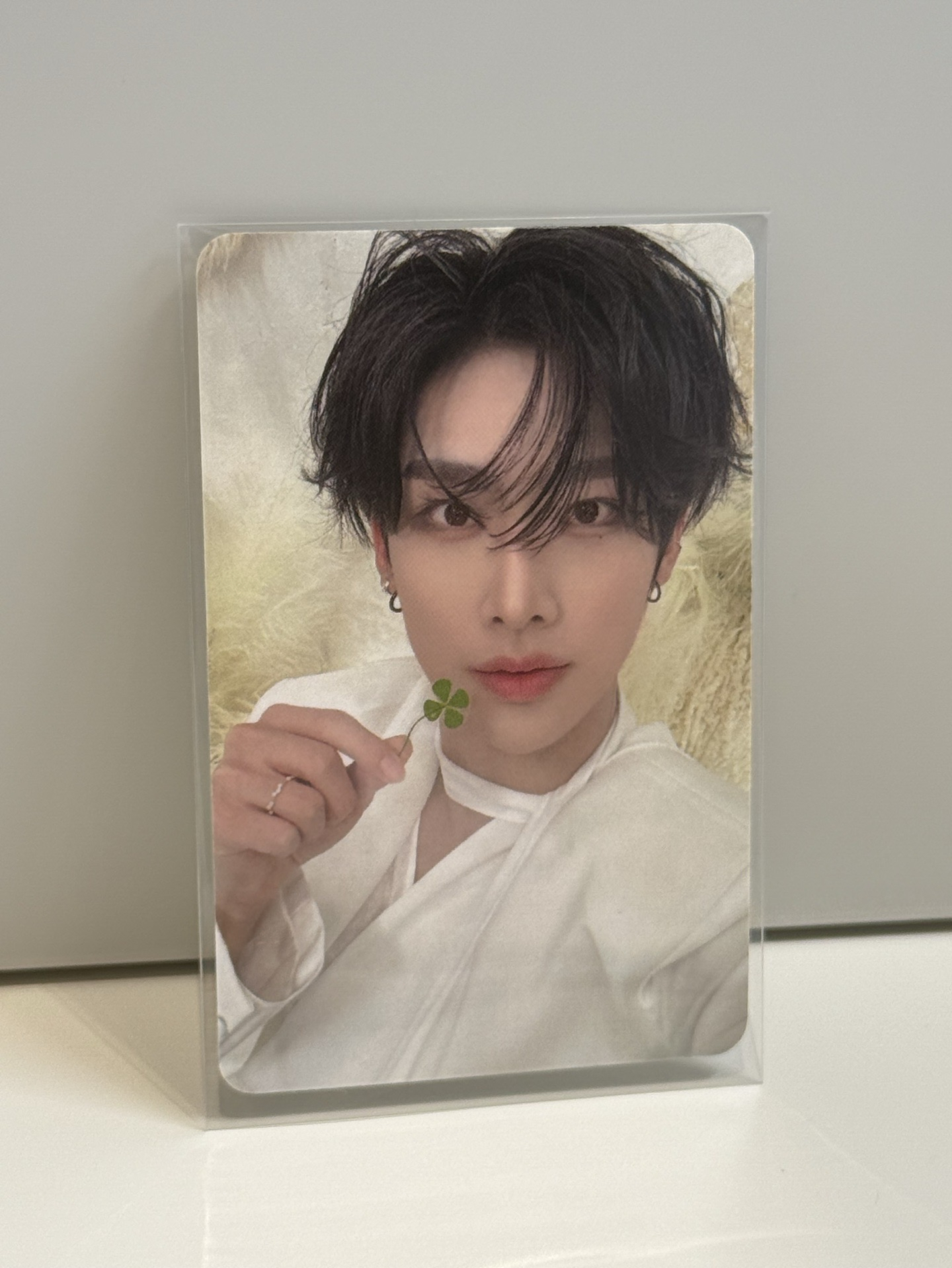 什麼時候帶貓回家（標價含綁）