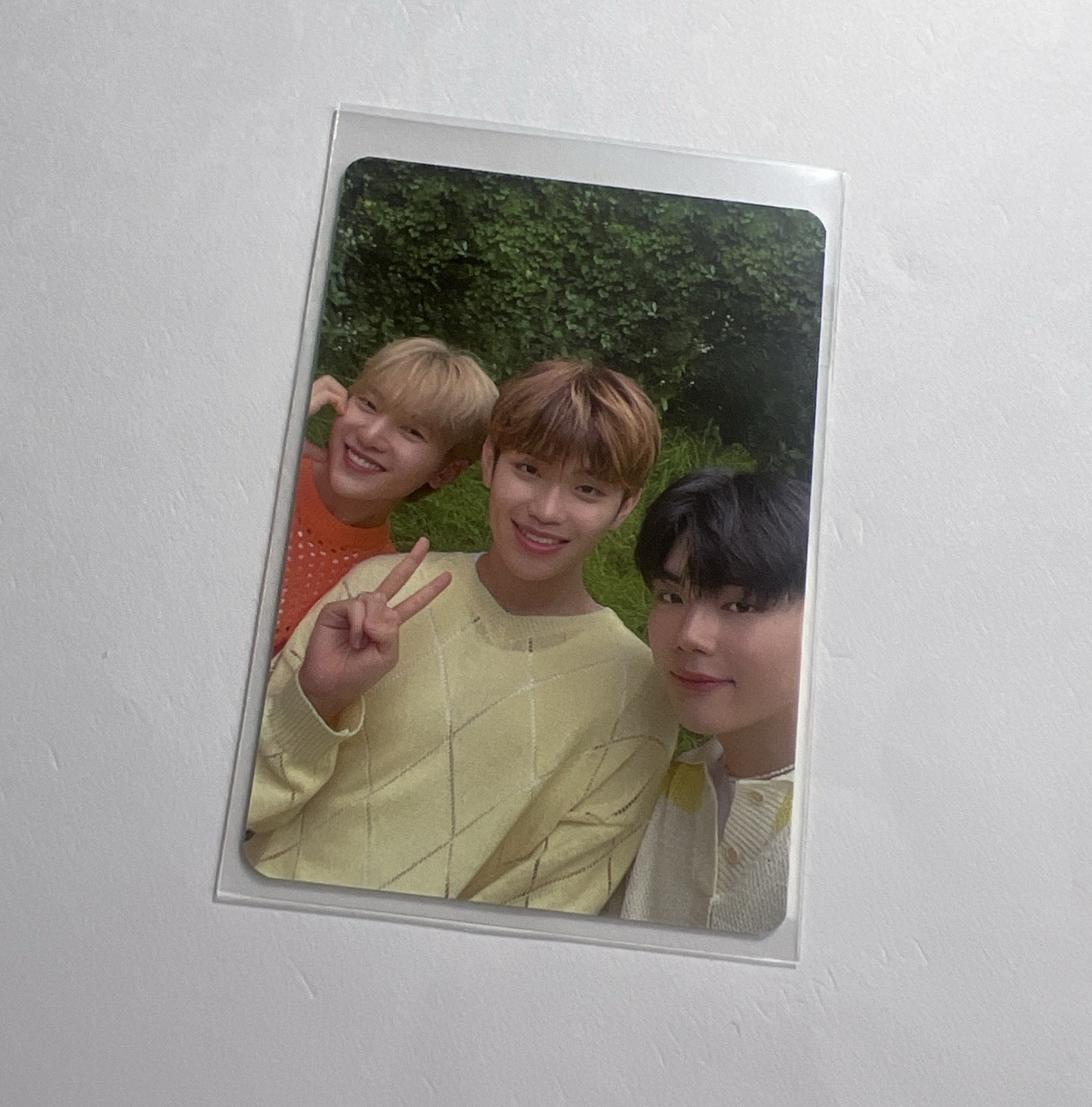 Bringgreen 代言卡