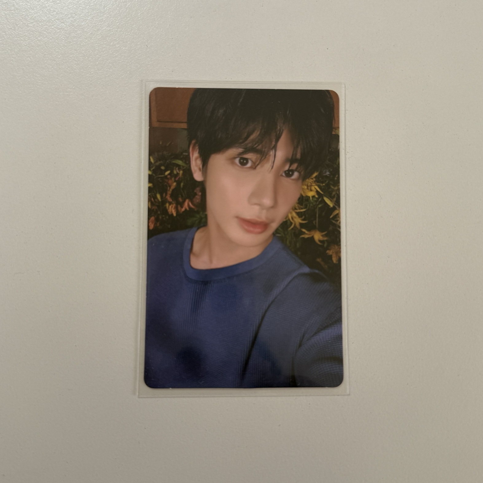 TXT 太顯 迷七電子專卡