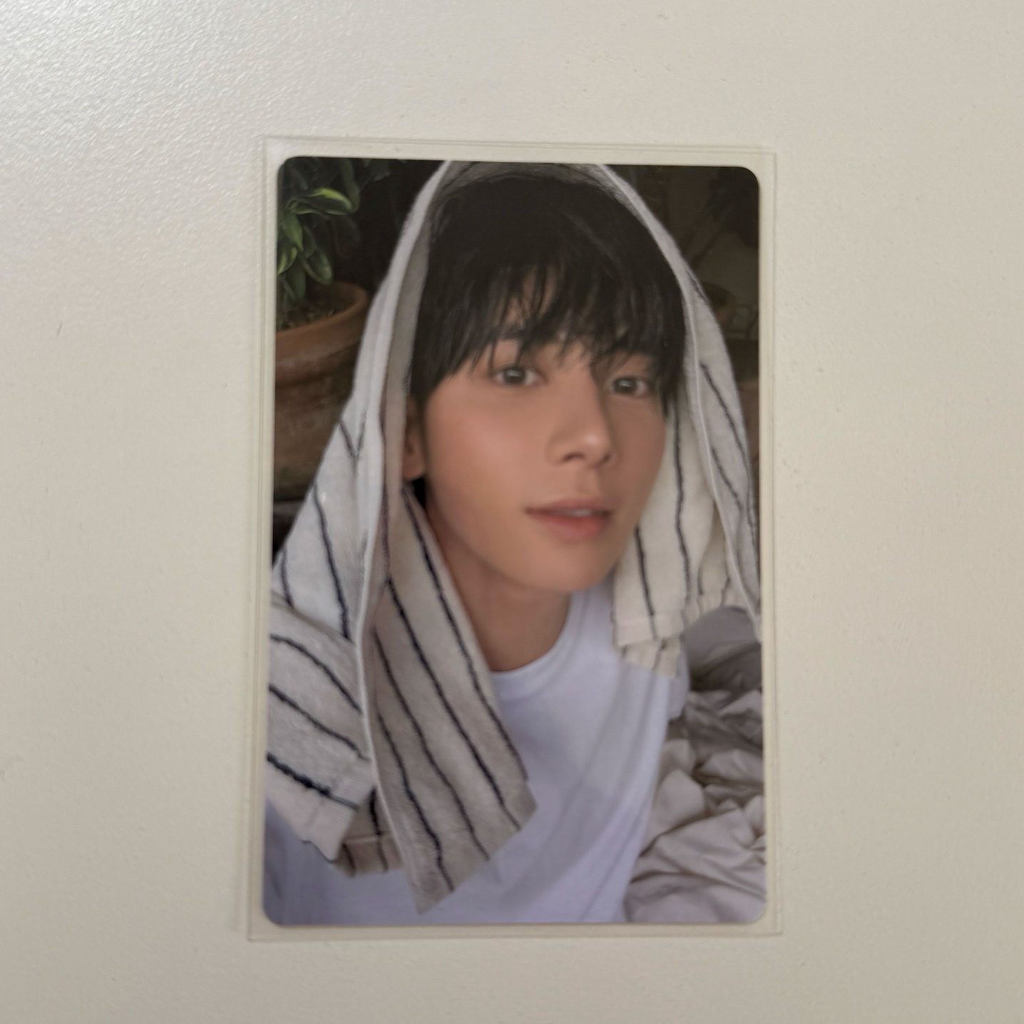 TXT 太顯 迷七單封卡