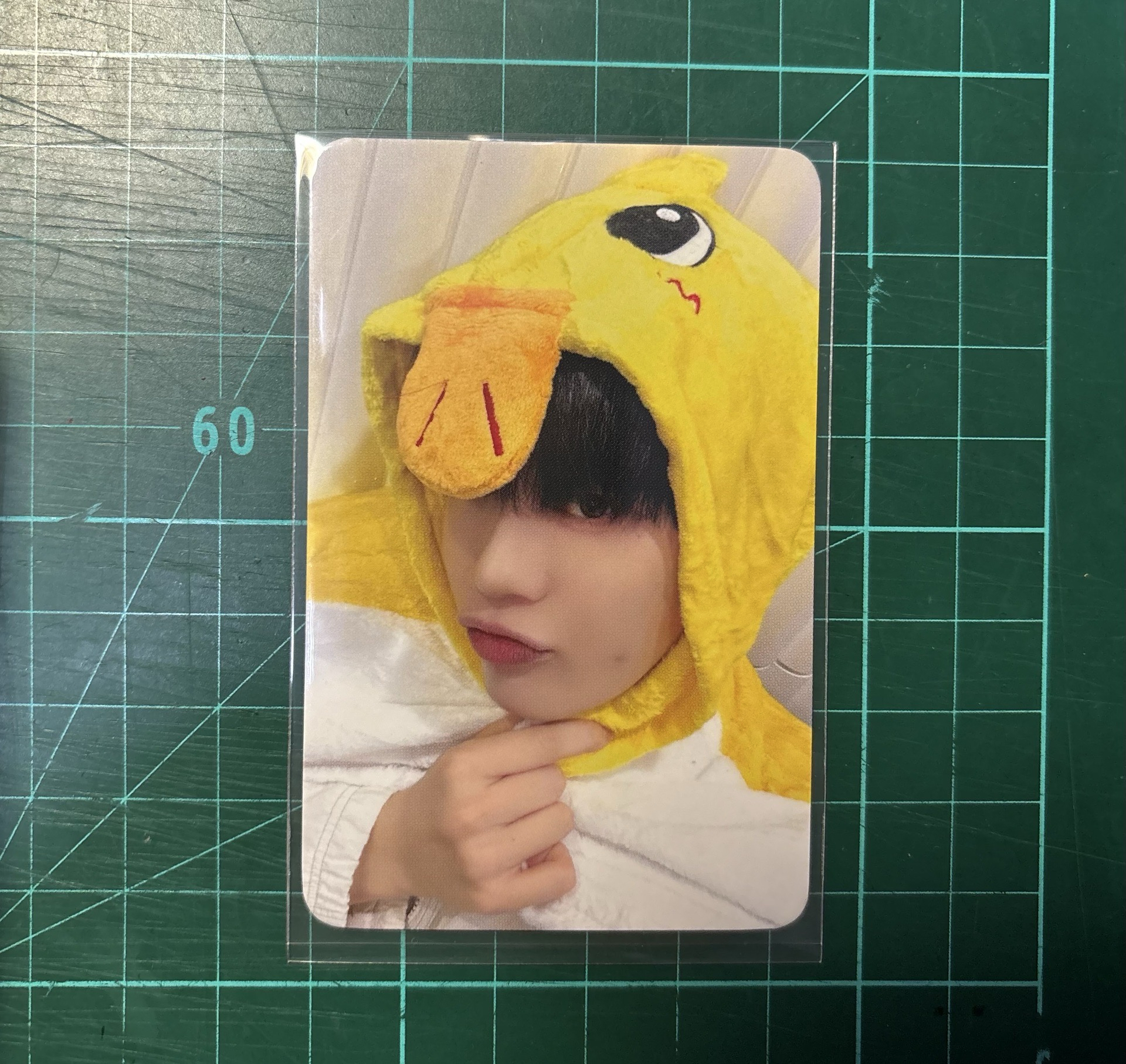 ZB1 來迷五ms 1.0簽售卡