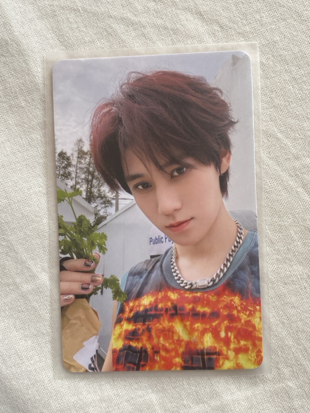 張真源台曆香菜