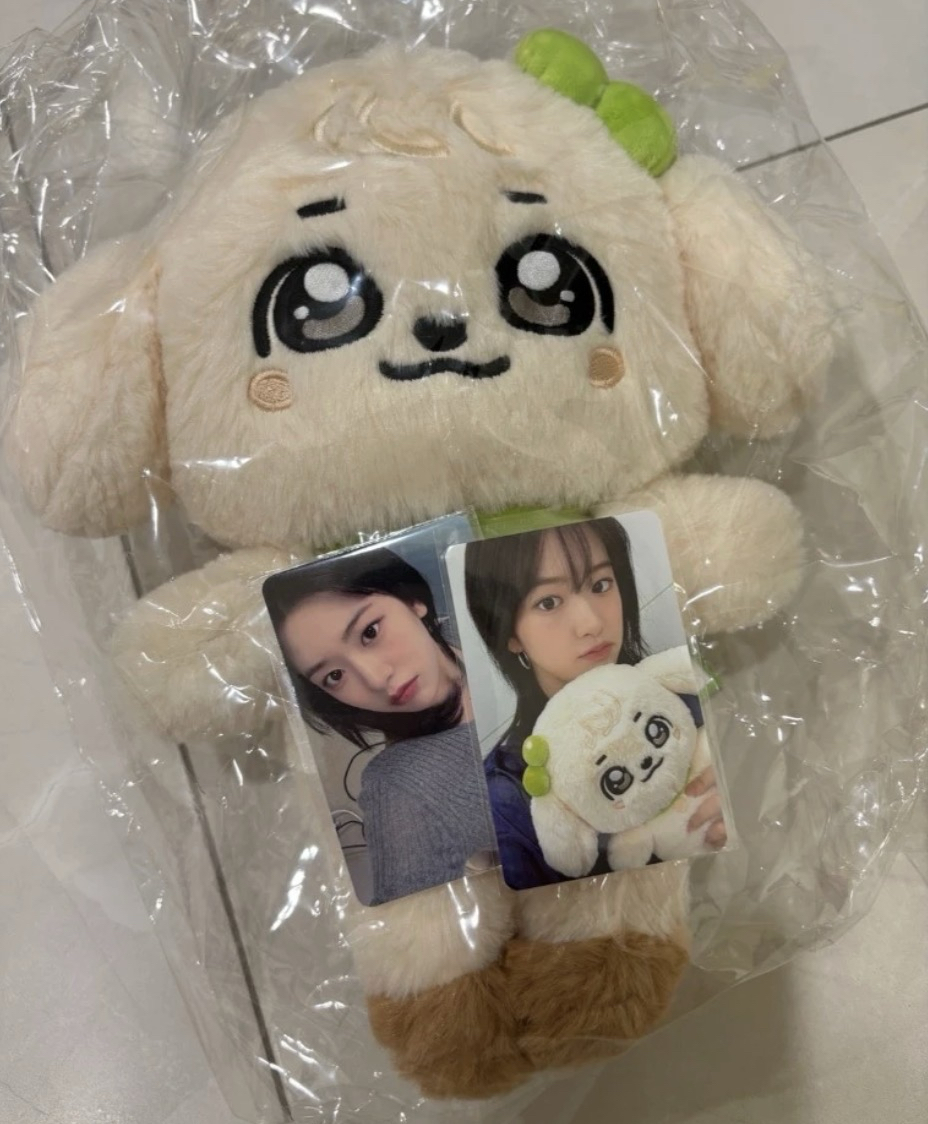 IVE minive 30公分娃 安安 小員