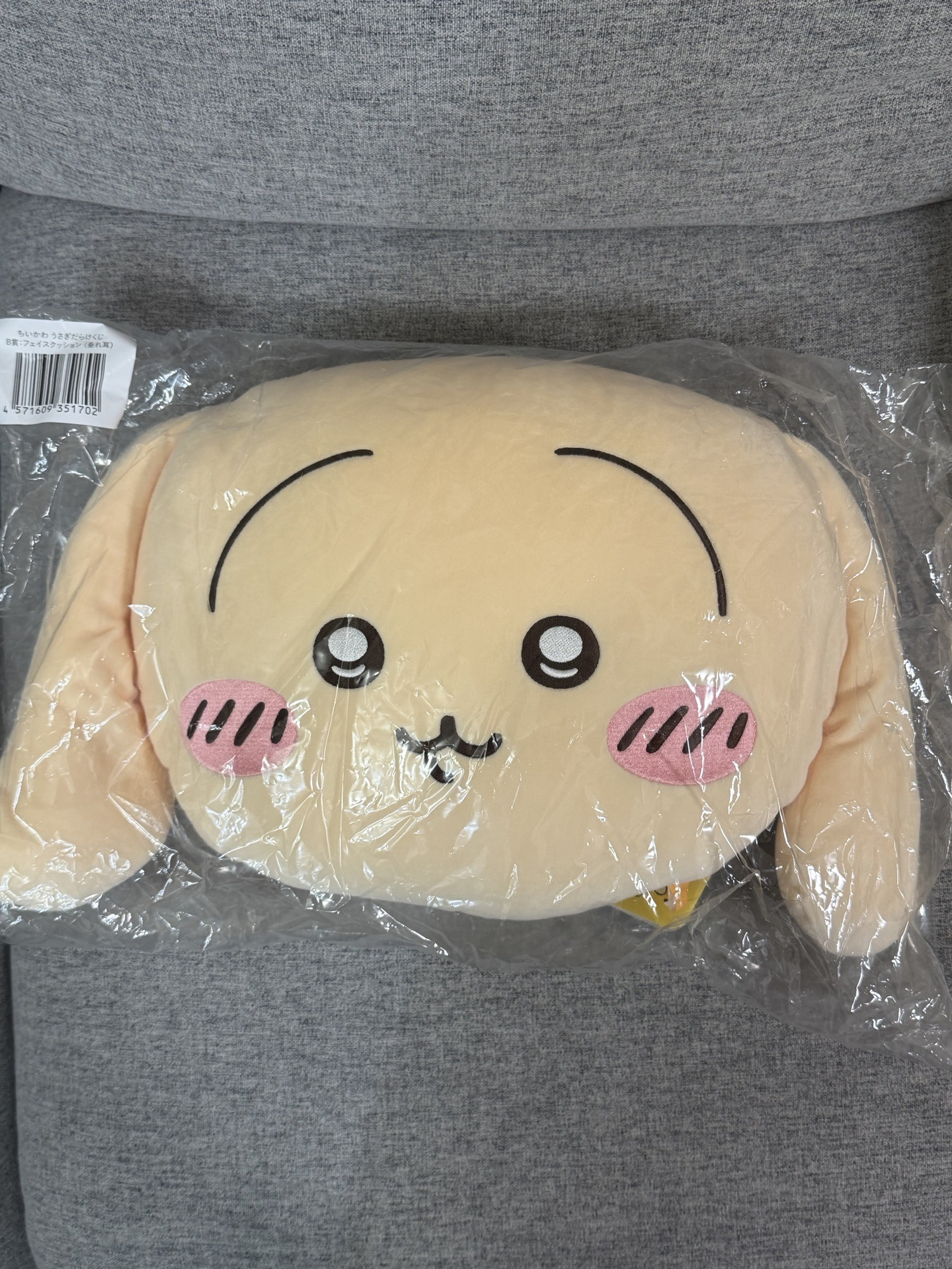 吉伊卡哇 兔兔烏薩奇抽賞B賞垂耳抱枕