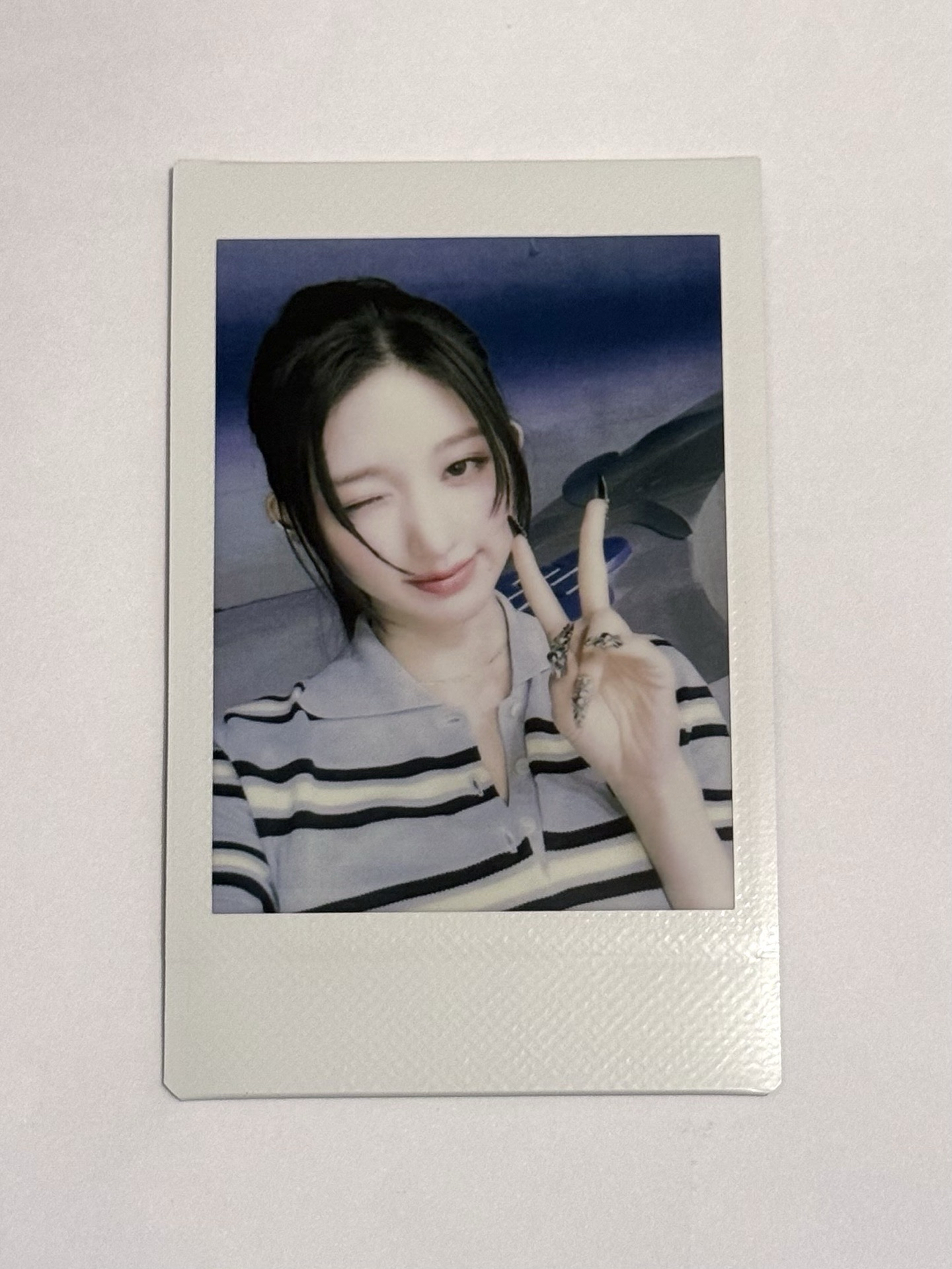 秋✌️（是真的拍立得哦）