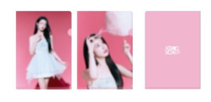 粉版資料夾組(2入)