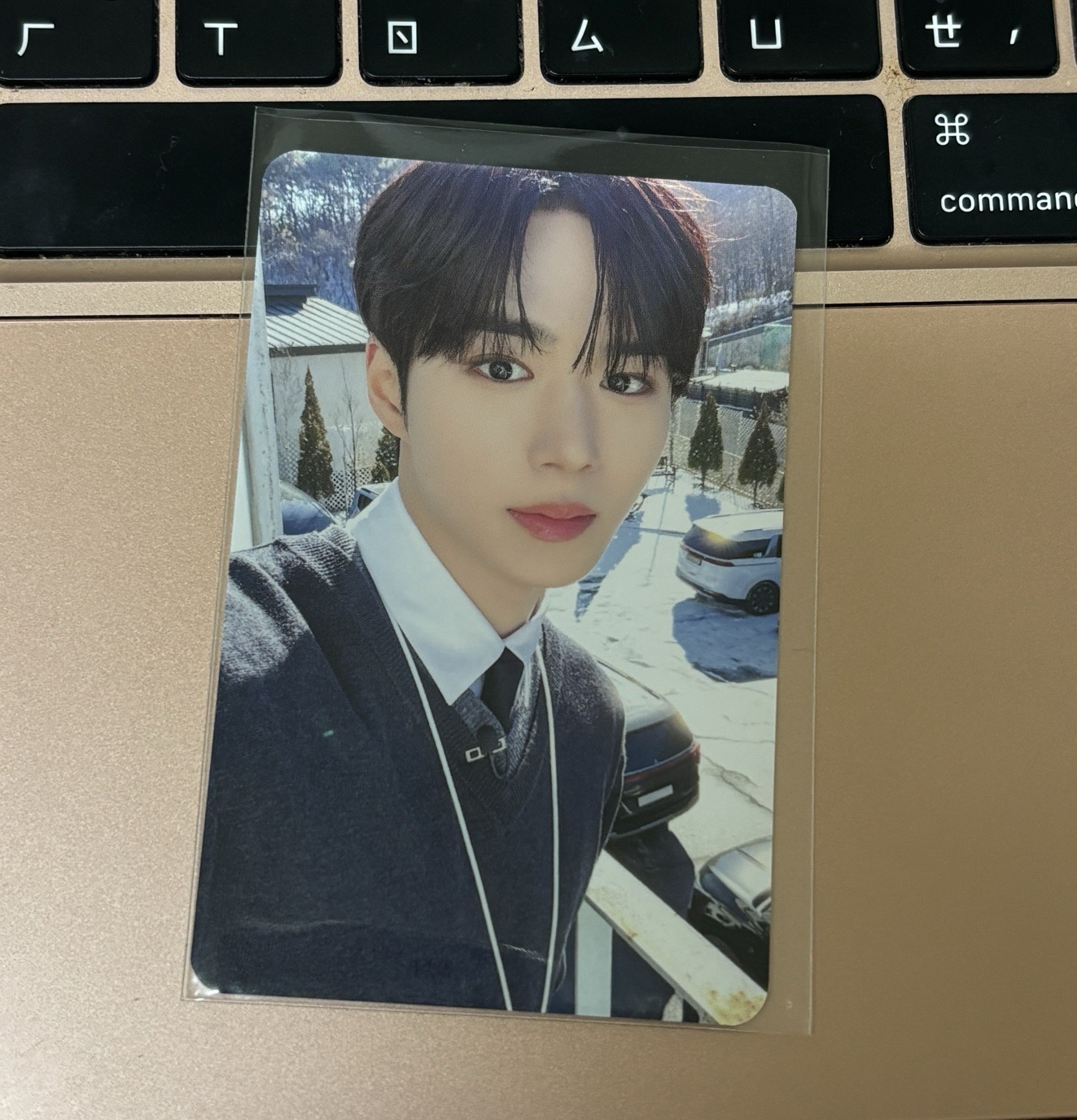 ALD1 金俊抒 上班族💼