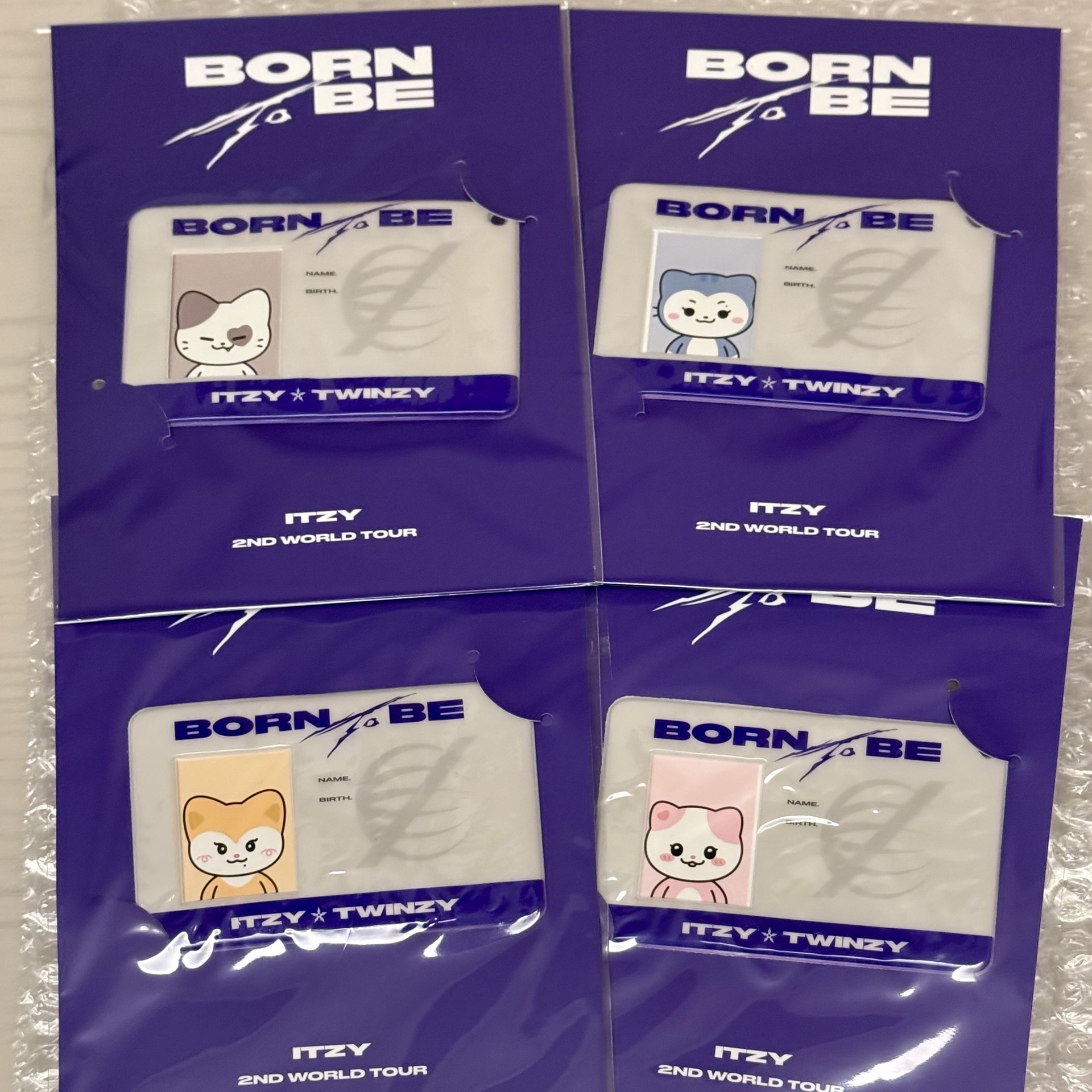 TWINZY ID卡套 證件照