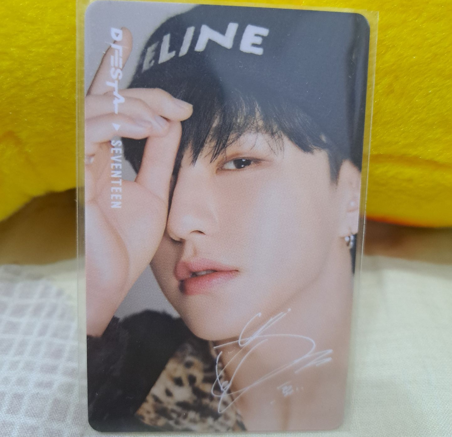 SEVENTEEN 2023 臺灣D社展場限卡（臺灣黑熊卡背）