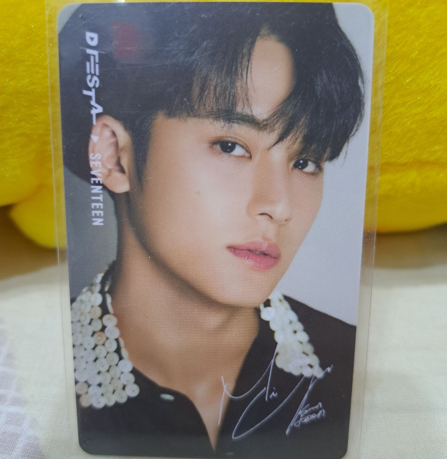 SEVENTEEN 2023 臺灣D社展場限卡（臺灣黑熊卡背）