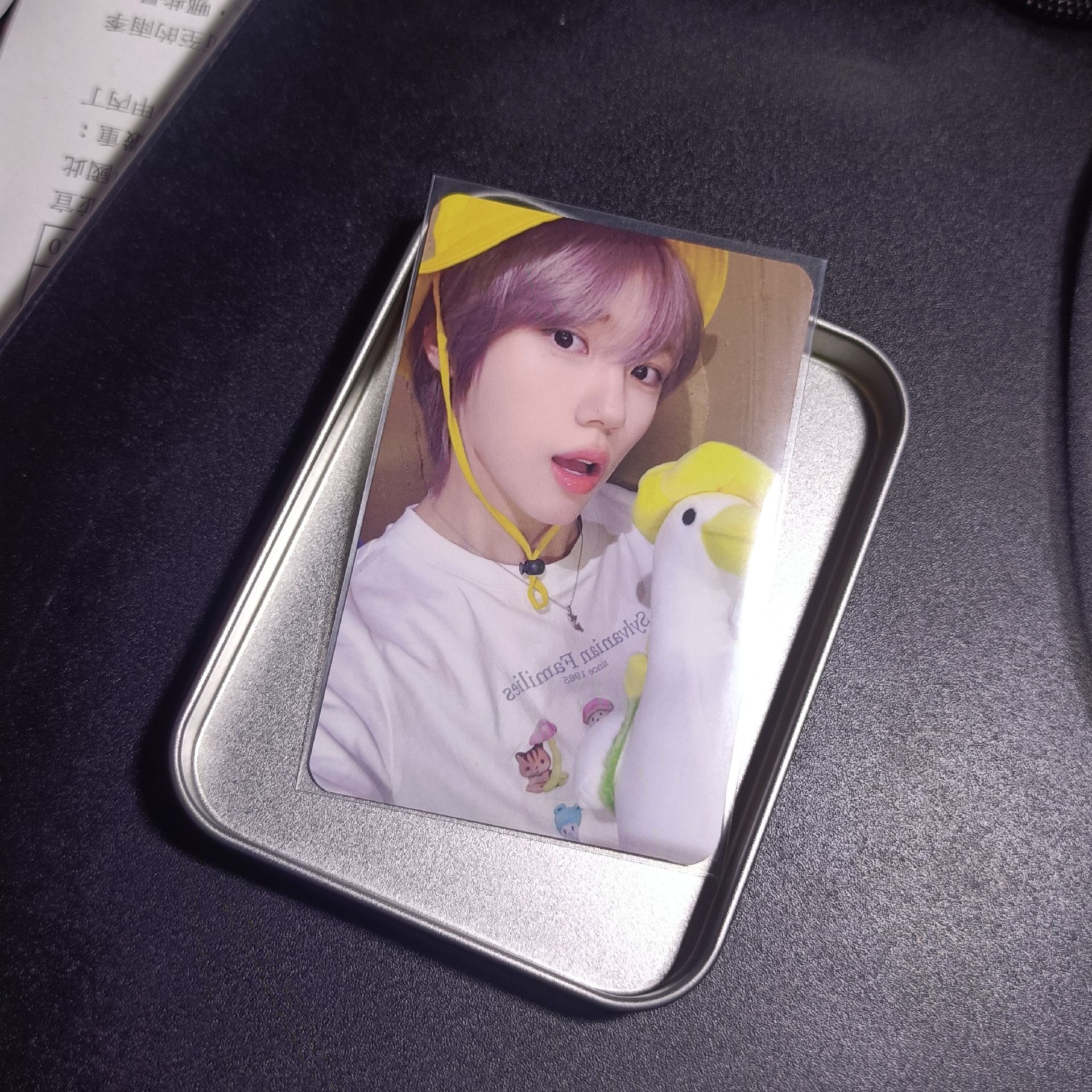 兩隻小鴨嘎嘎嘎