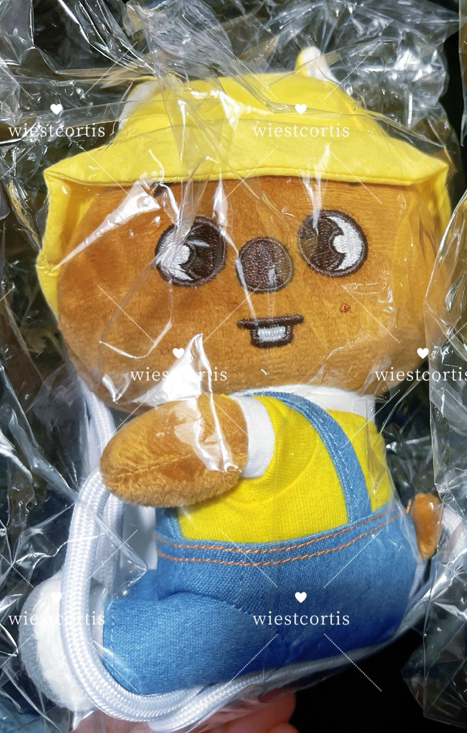 SKZOO幼兒園系列20公分側背包娃