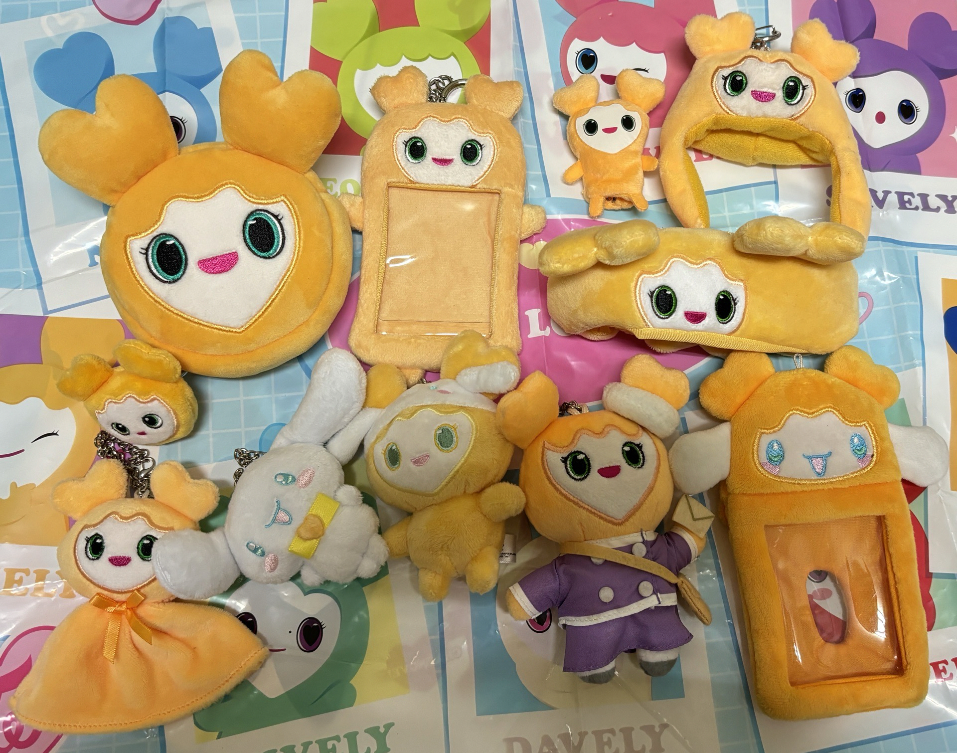 TWICE全志效jively盤