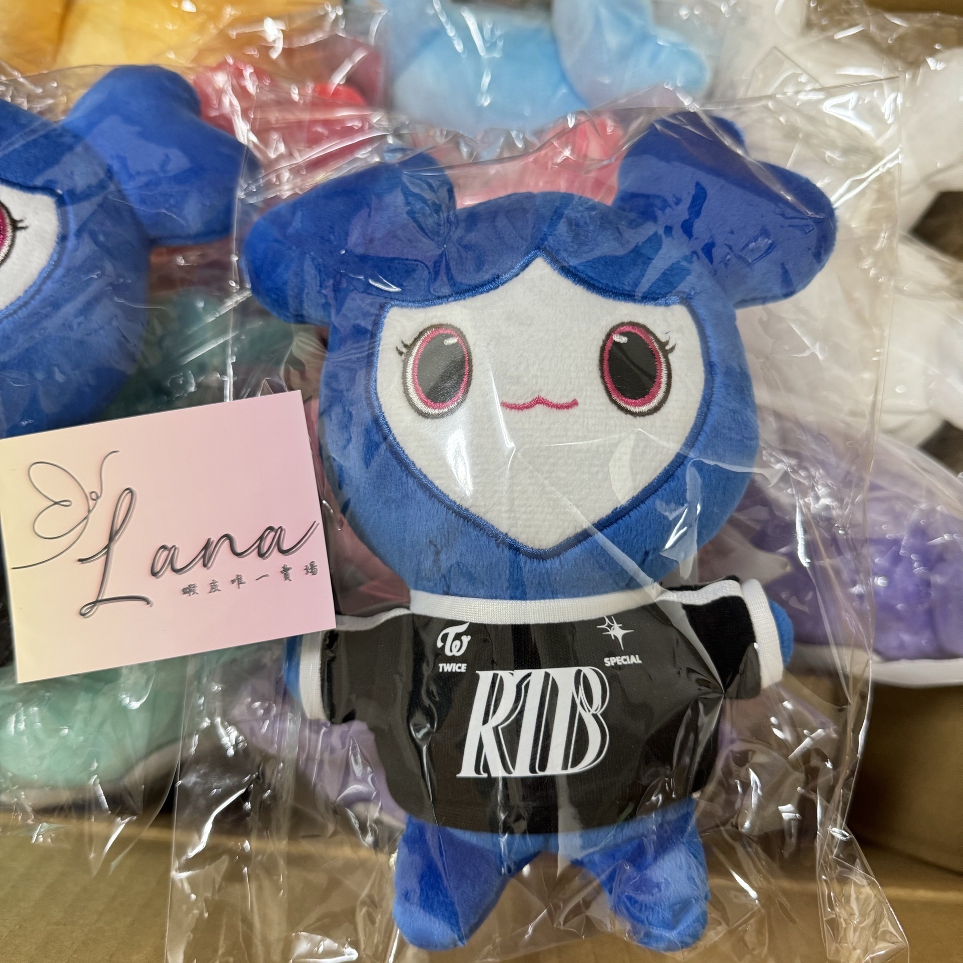 23’ 五巡 中娃 子瑜 RTB娃 全新未拆