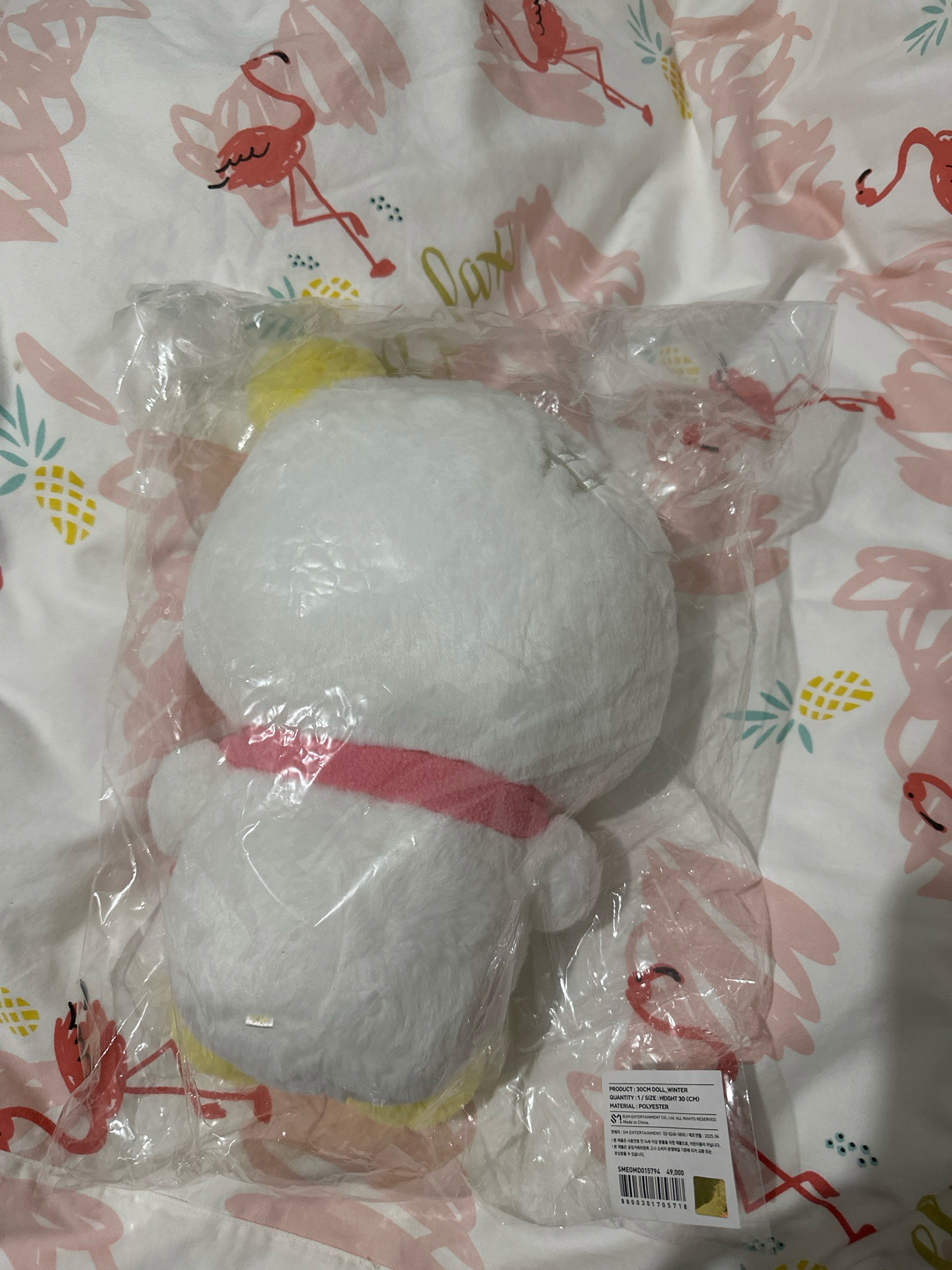 aespa二巡安可場 30cm 冬娃