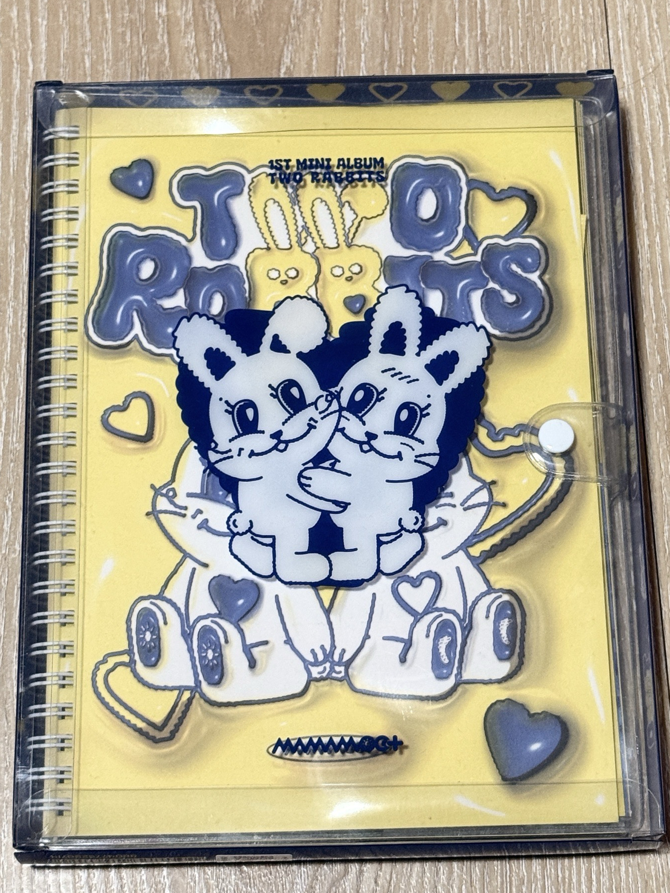 Mamamoo+ Two Rabbits 空專