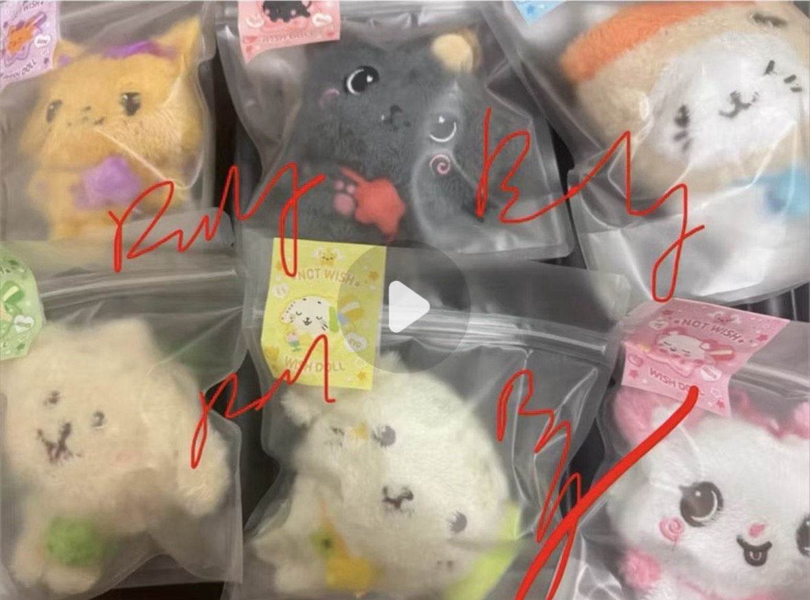 NCT WISH 原皮娃 (리쿠已降綁）