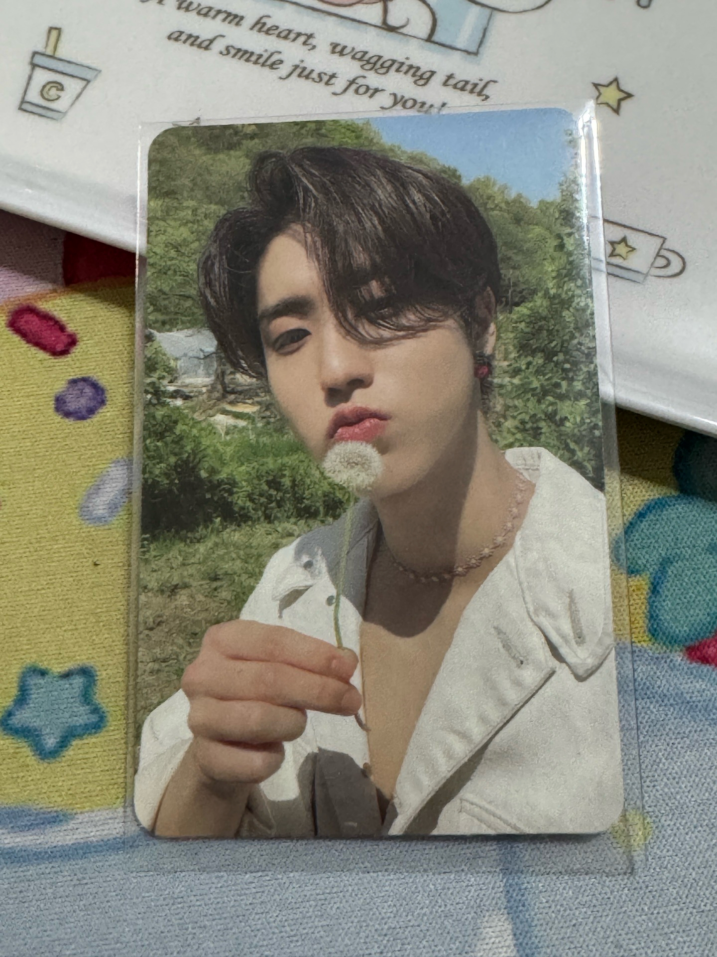 STRAYKIDS HAN 韓知城 專卡