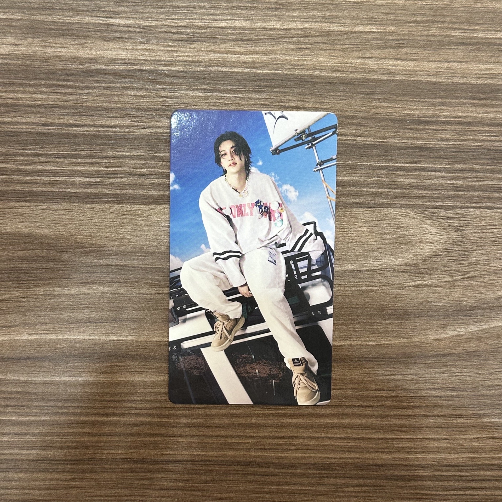 celebrATE 世巡安可 快閃店 隨機卡 大卡 🐿️🐷🐺