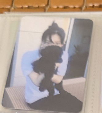 太妍 Tfu 特典卡