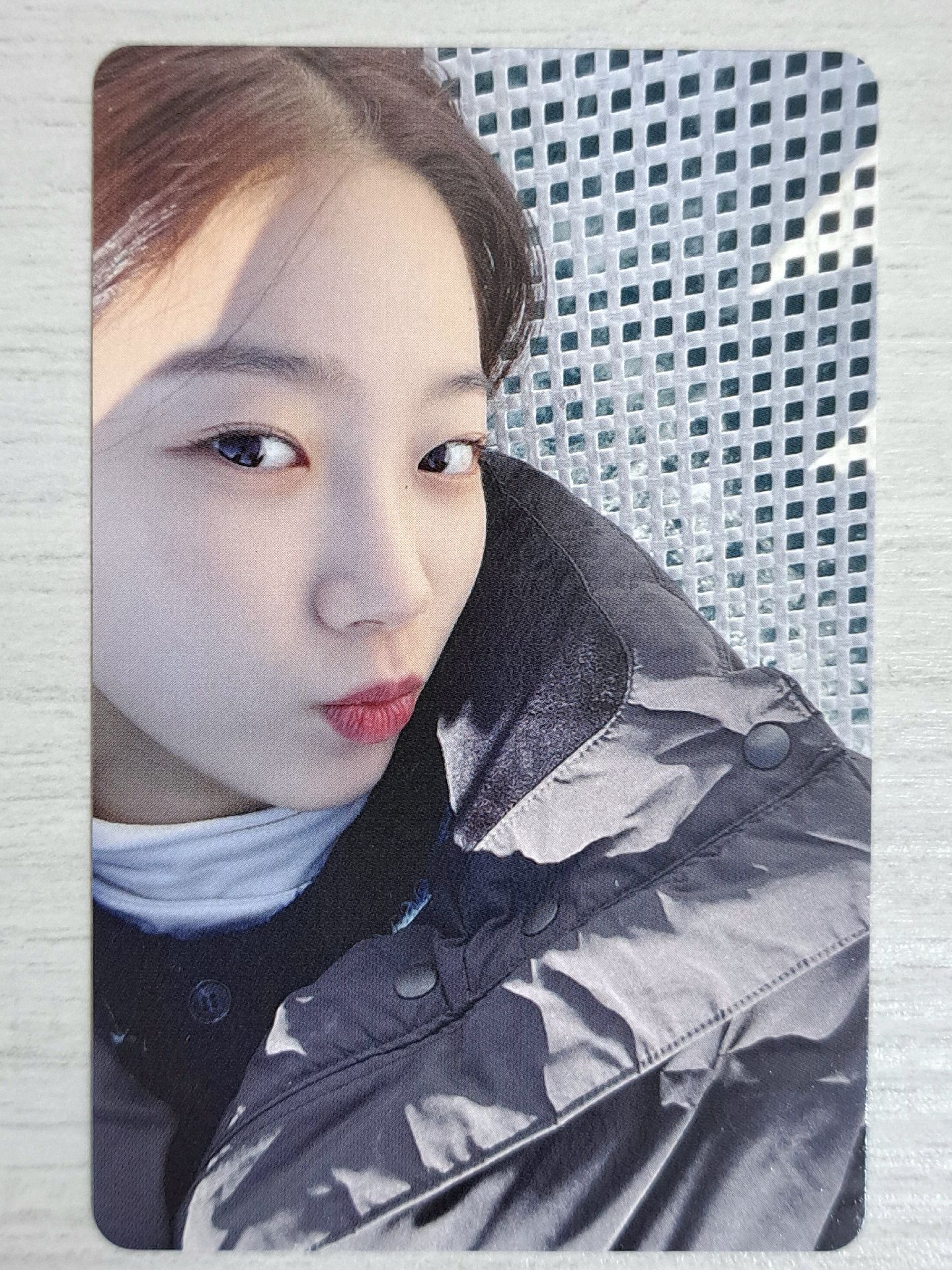 濟州島寫真 周邊卡 葉