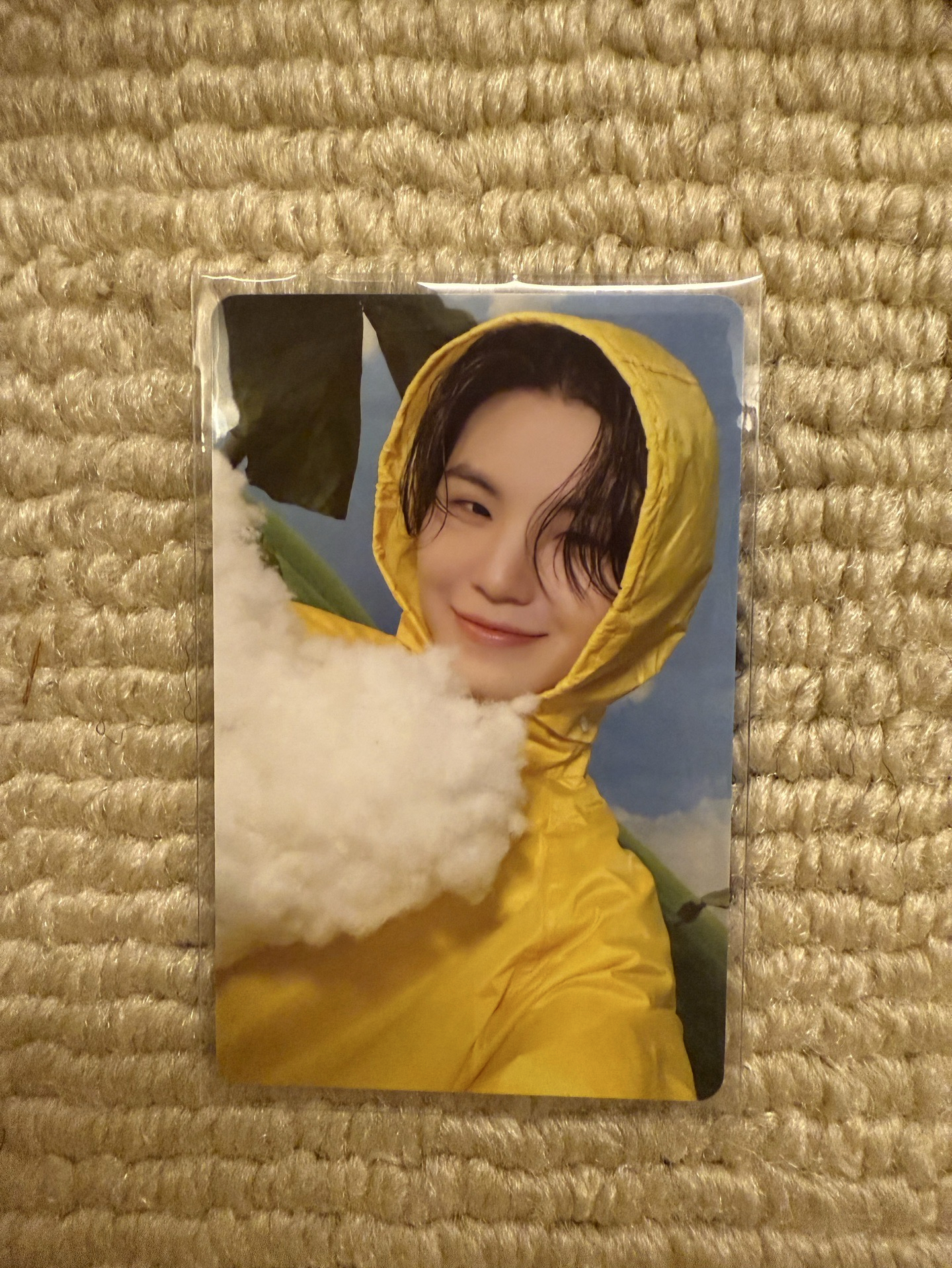 💎勳迷11克拉盤專卡