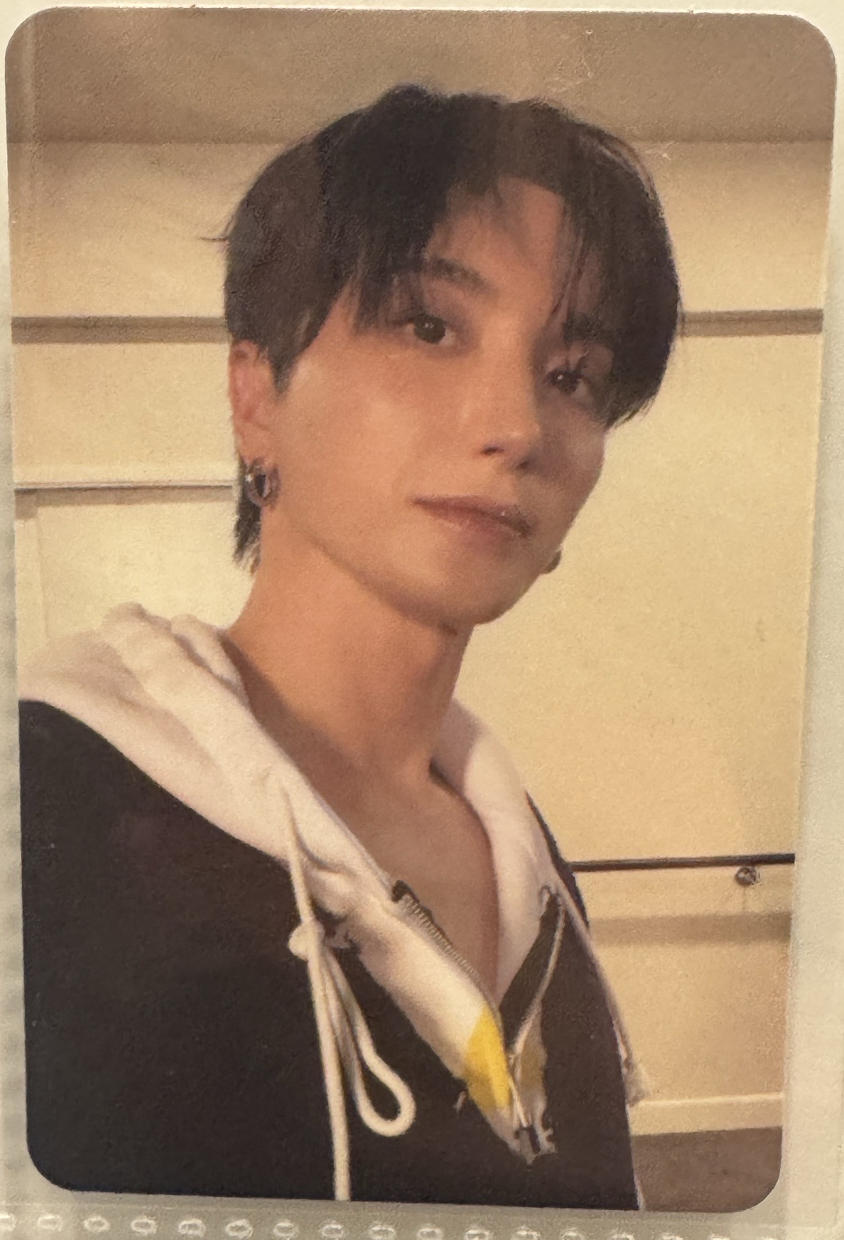 利特 十二輯專輯卡 可當綁物