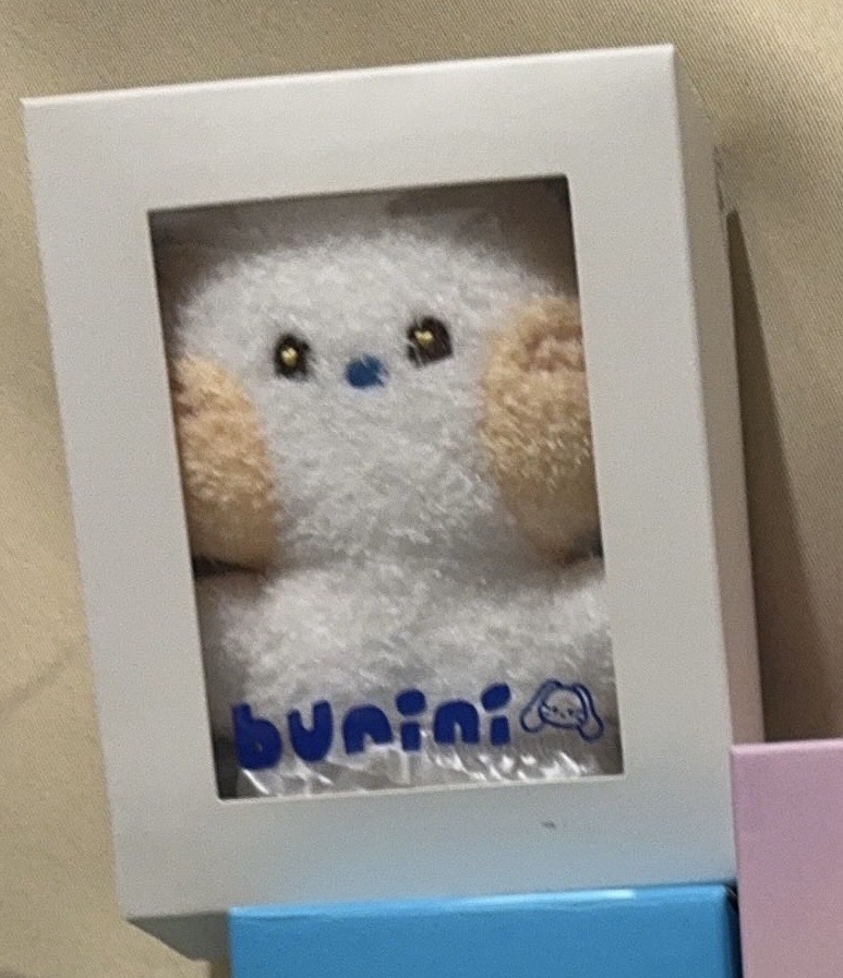 NEW JEANS 姜海粼  bunini