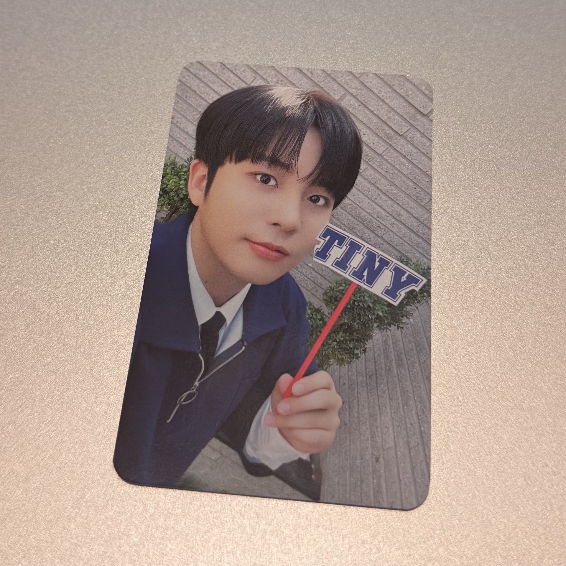 鍾浩 Aniteez 飯咪 超可愛小卡