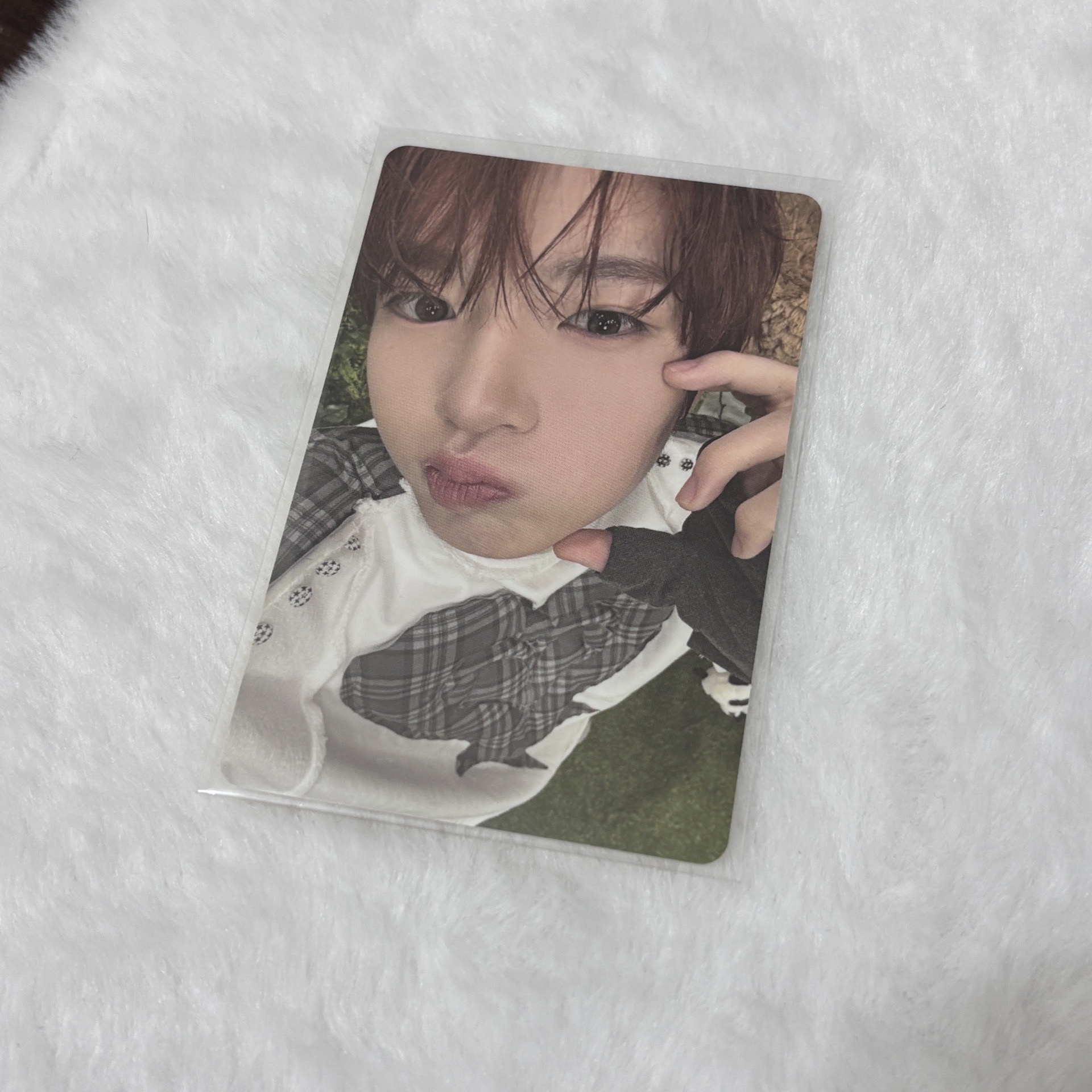 🩷河豚出擊！🐡｜📍Color JC 