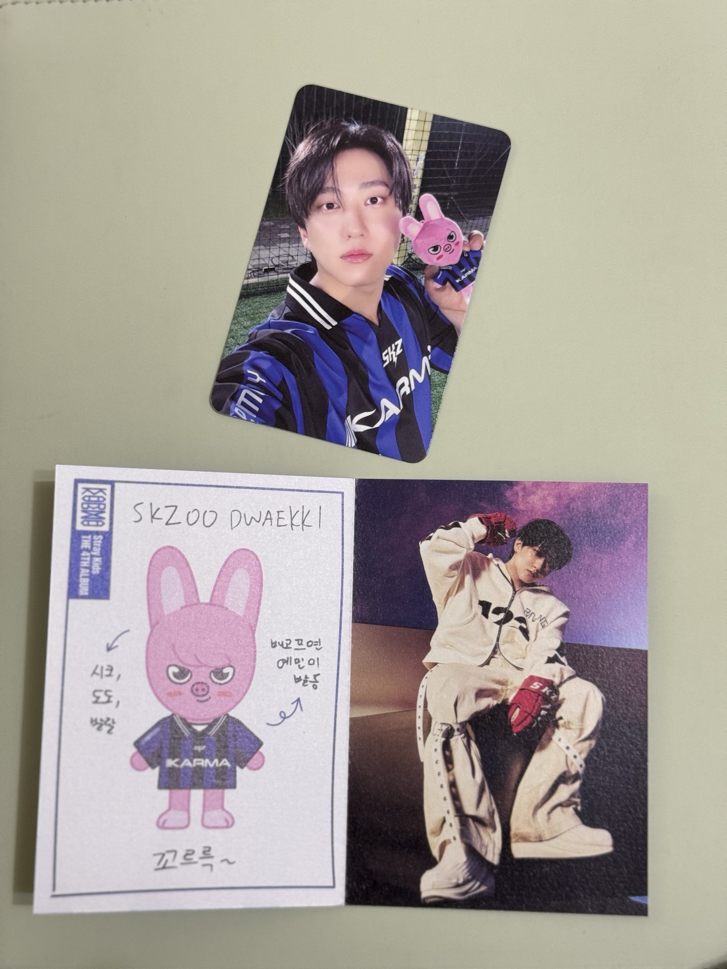 KARMA電子專+豬兔身分證