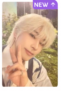 28（包含一張雙人卡）