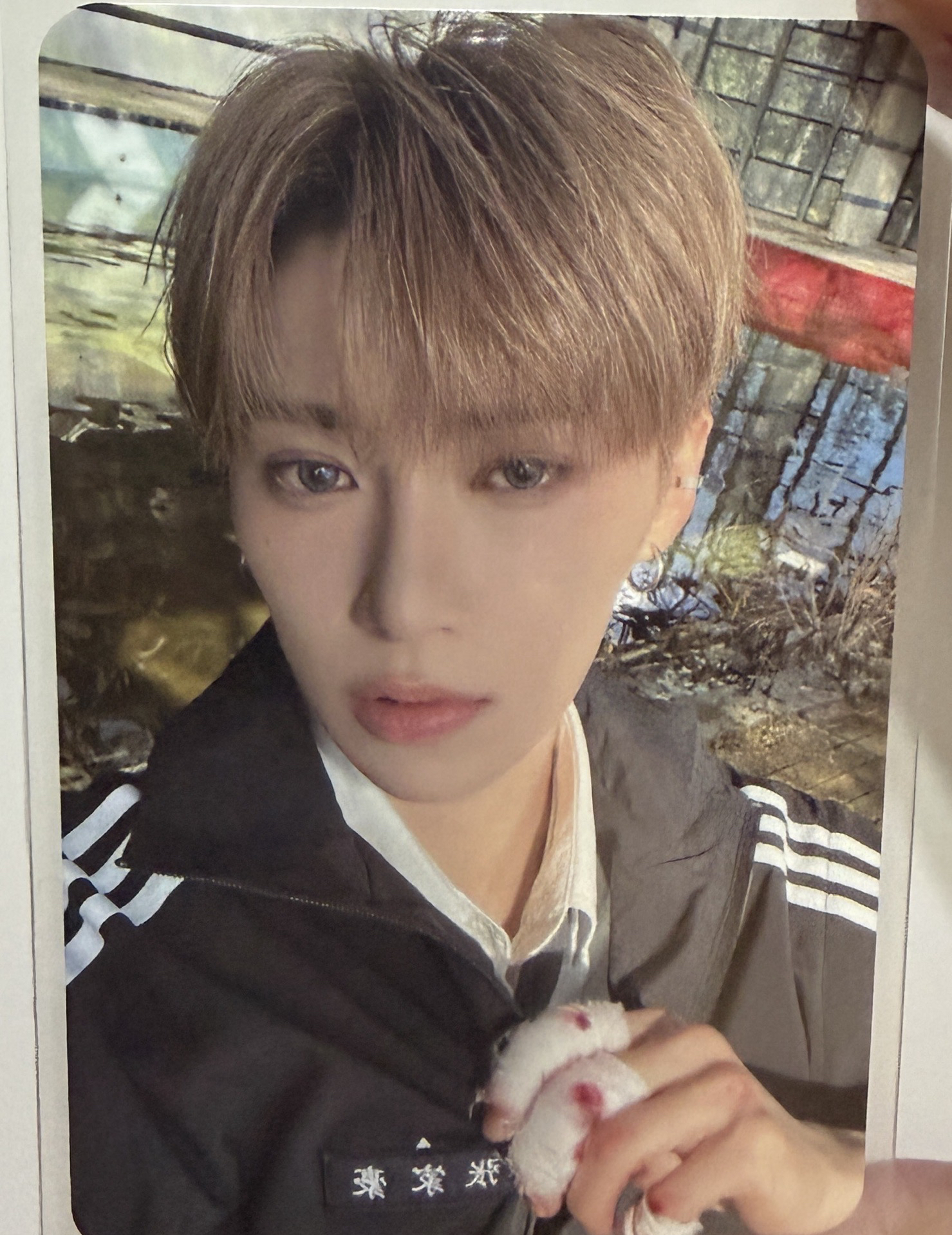 迷一 JEWEL CASE 專輯卡（張家豪）