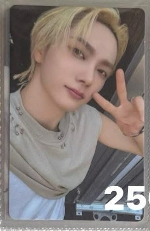 the action LD 1.0 WVS ①（有兩張）