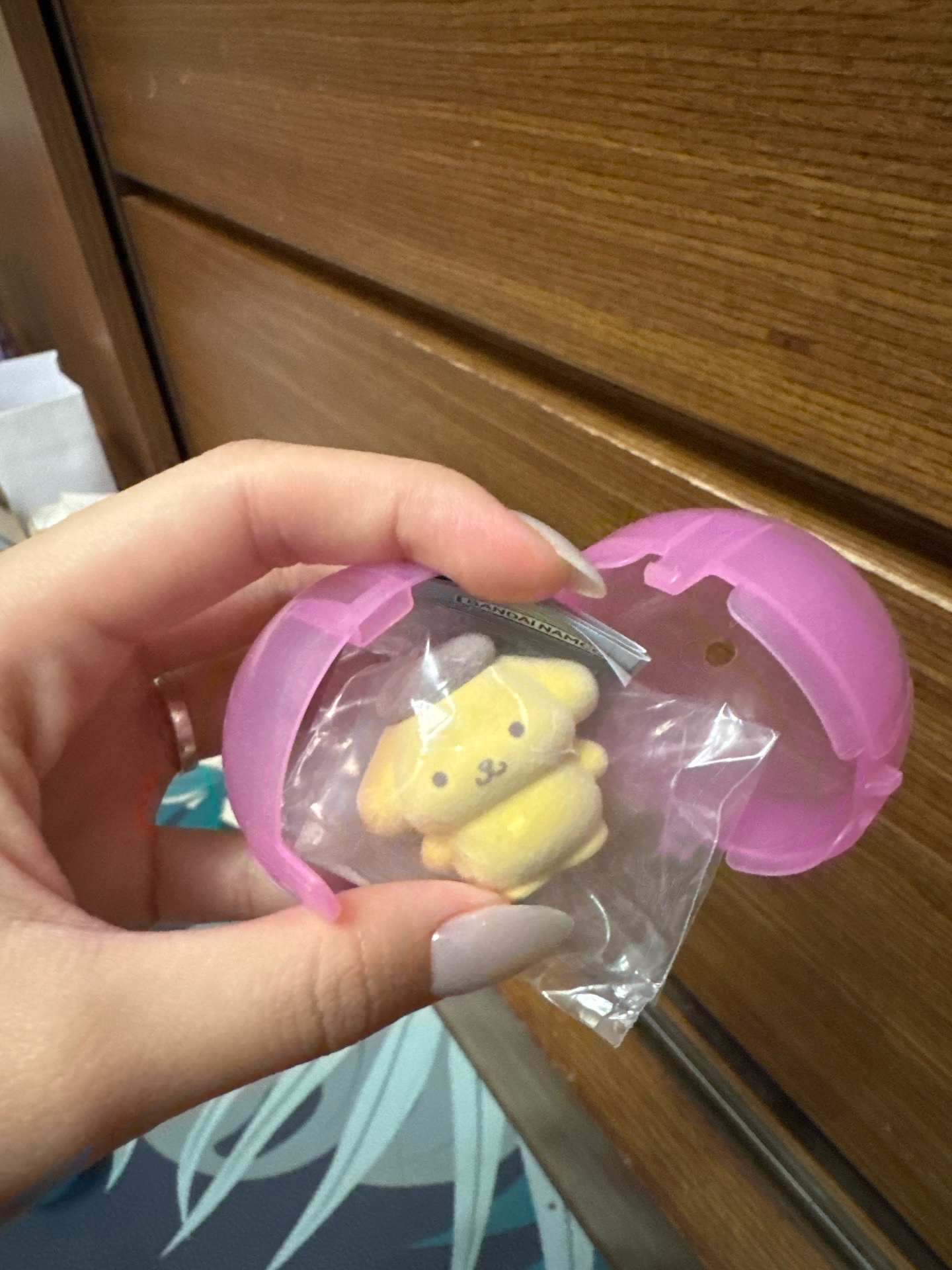 植絨三麗鷗布丁狗