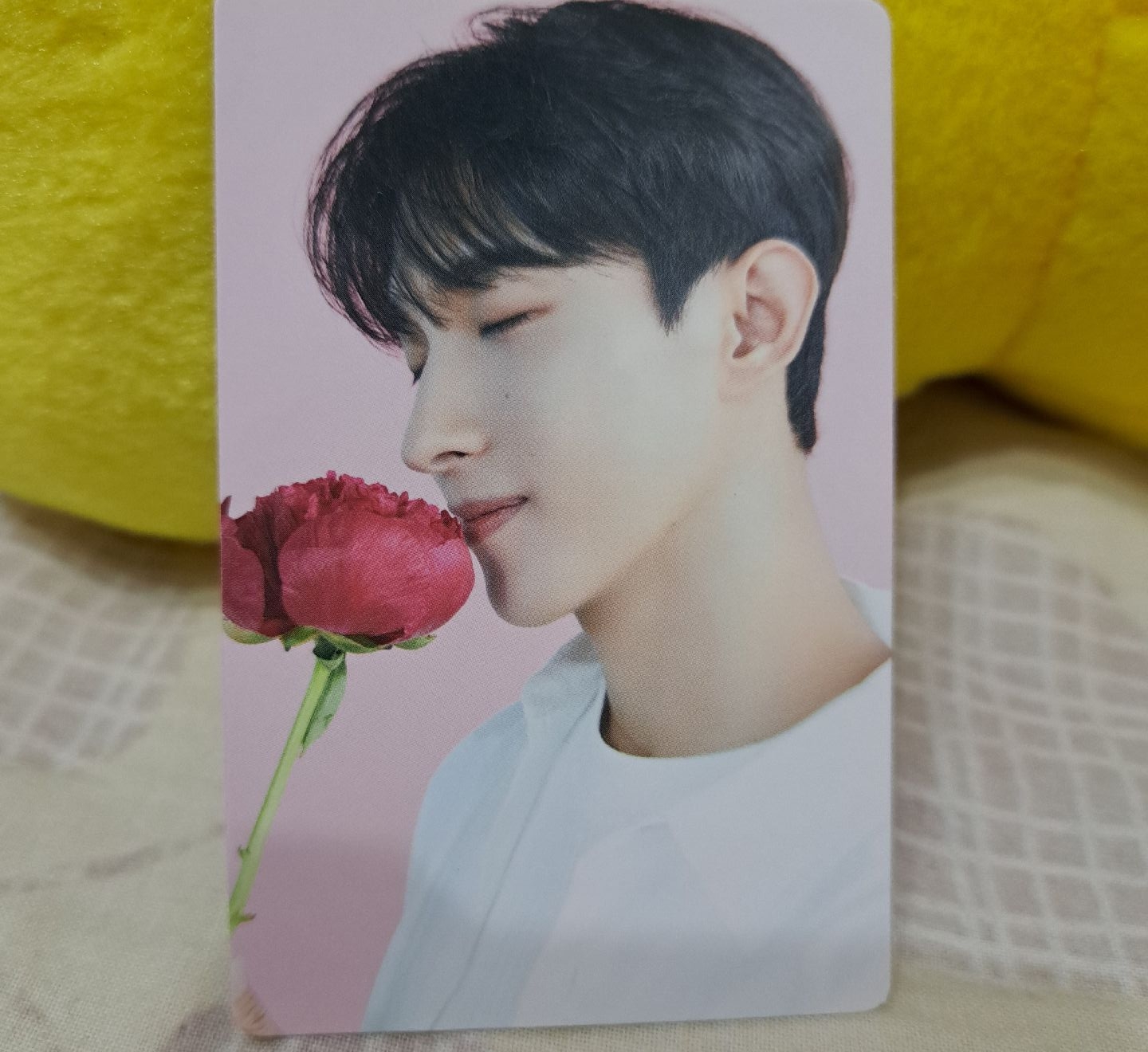 23年首爾咖啡廳卡包卡