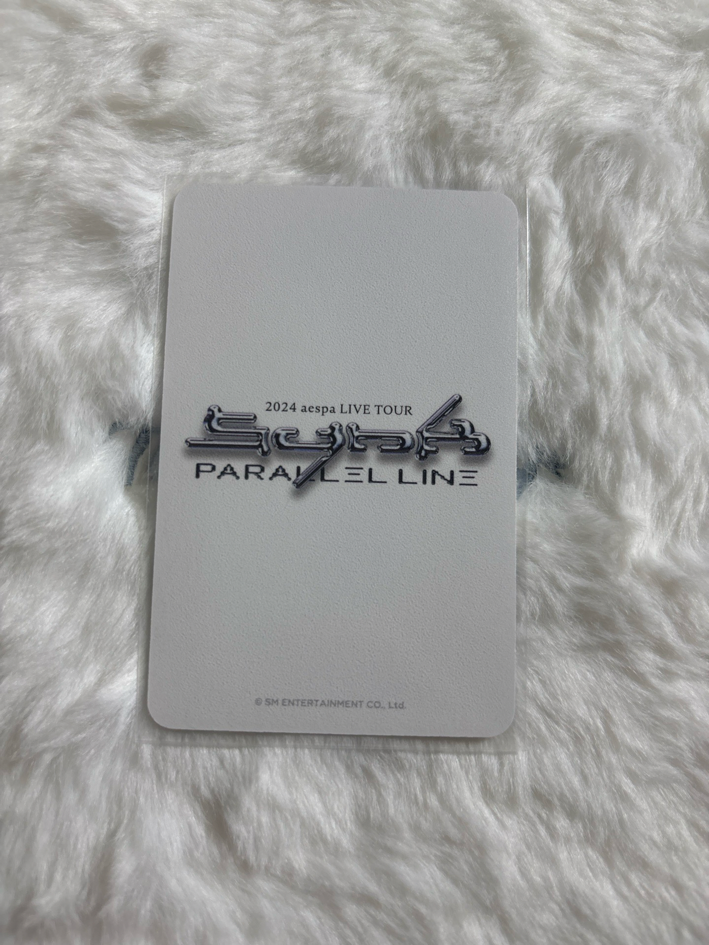 二巡 周邊卡 寫真pb柚