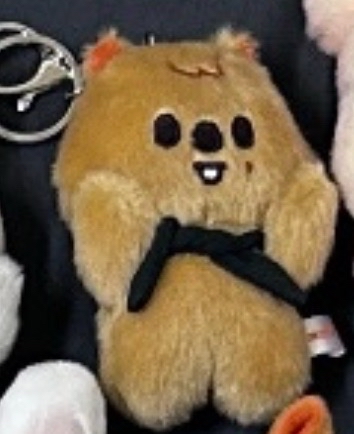 捧臉娃城 Han quokka 