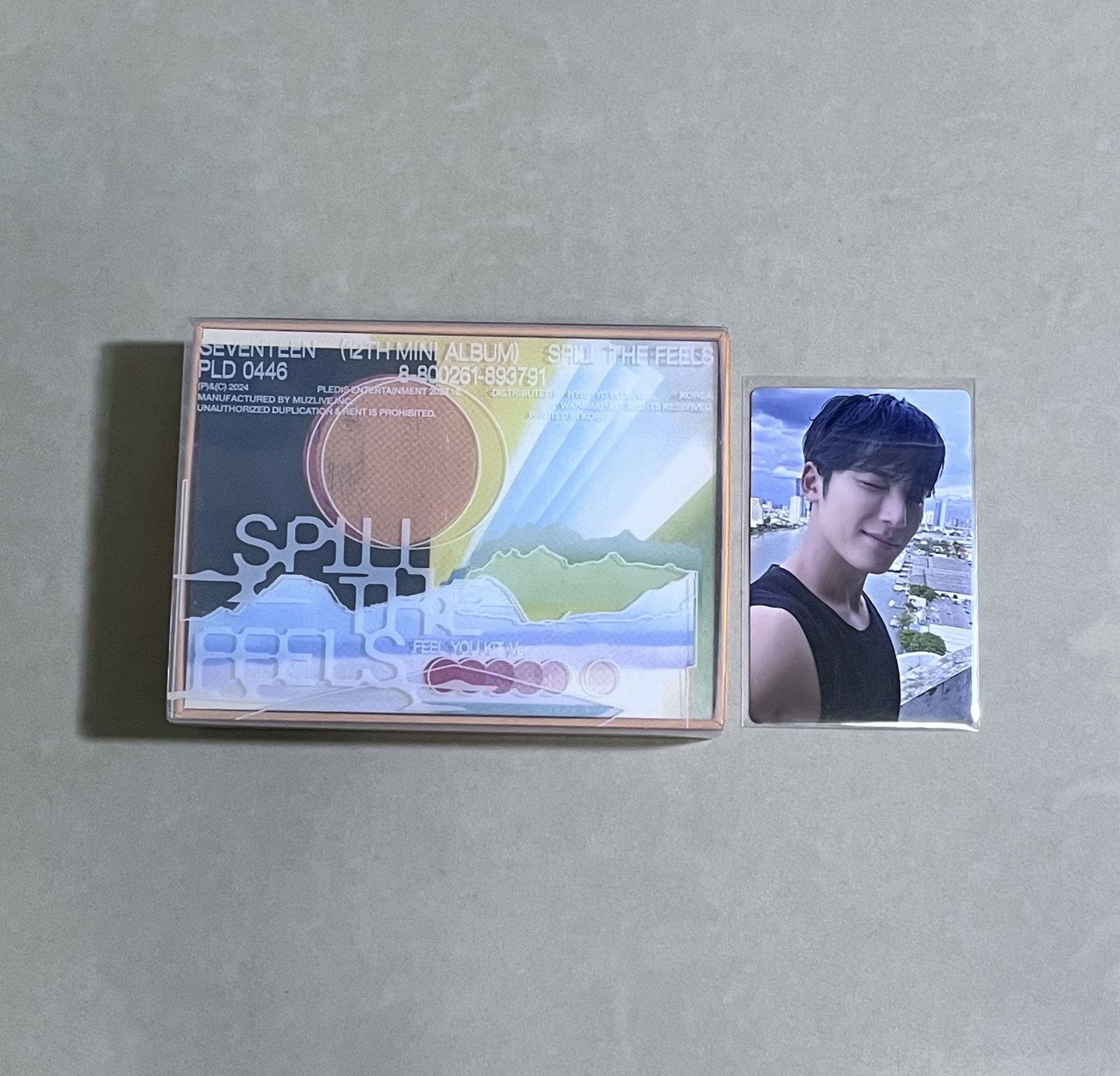 迷十二 橘版 奎全專🐶