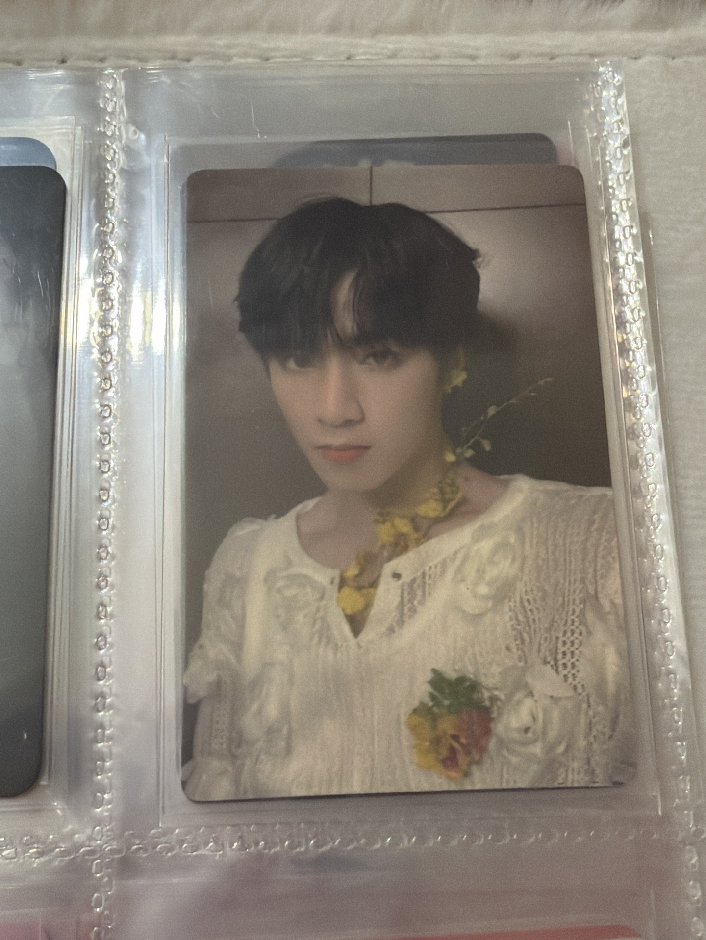 找不到圖鑑所以隨便按一個