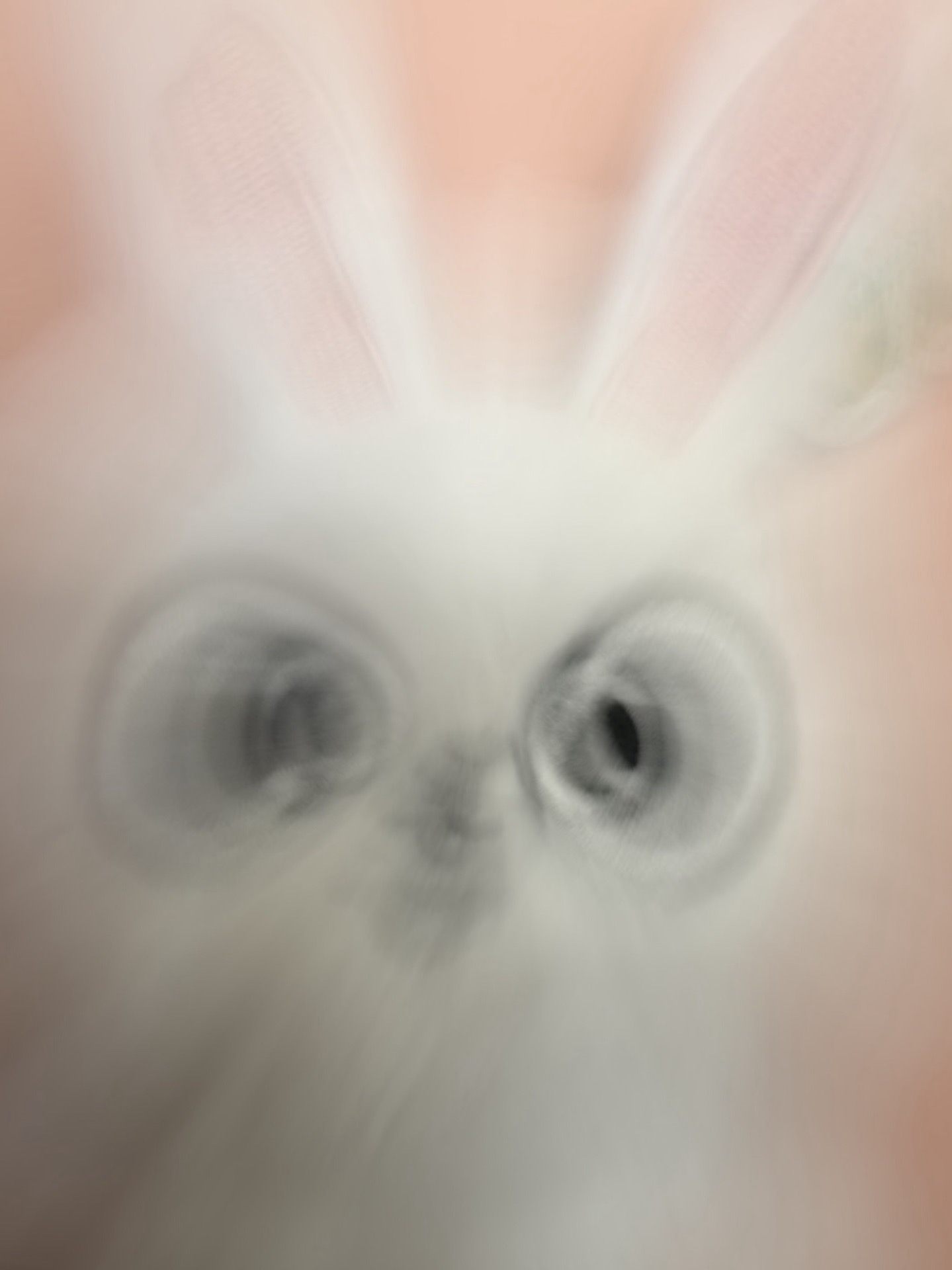 召喚你來接走你老公！(straykids 小卡）