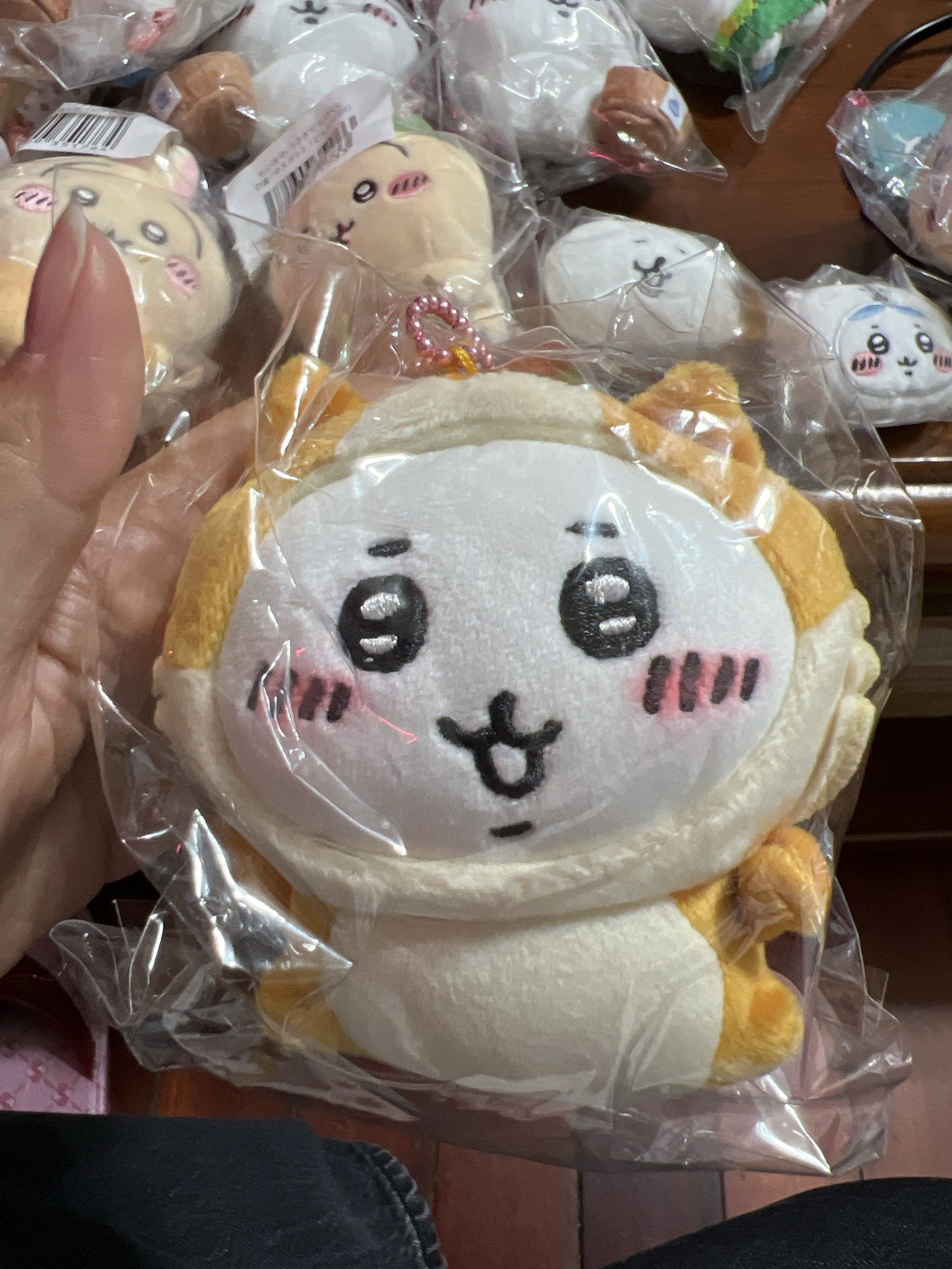 地區限定吉伊［秋田］