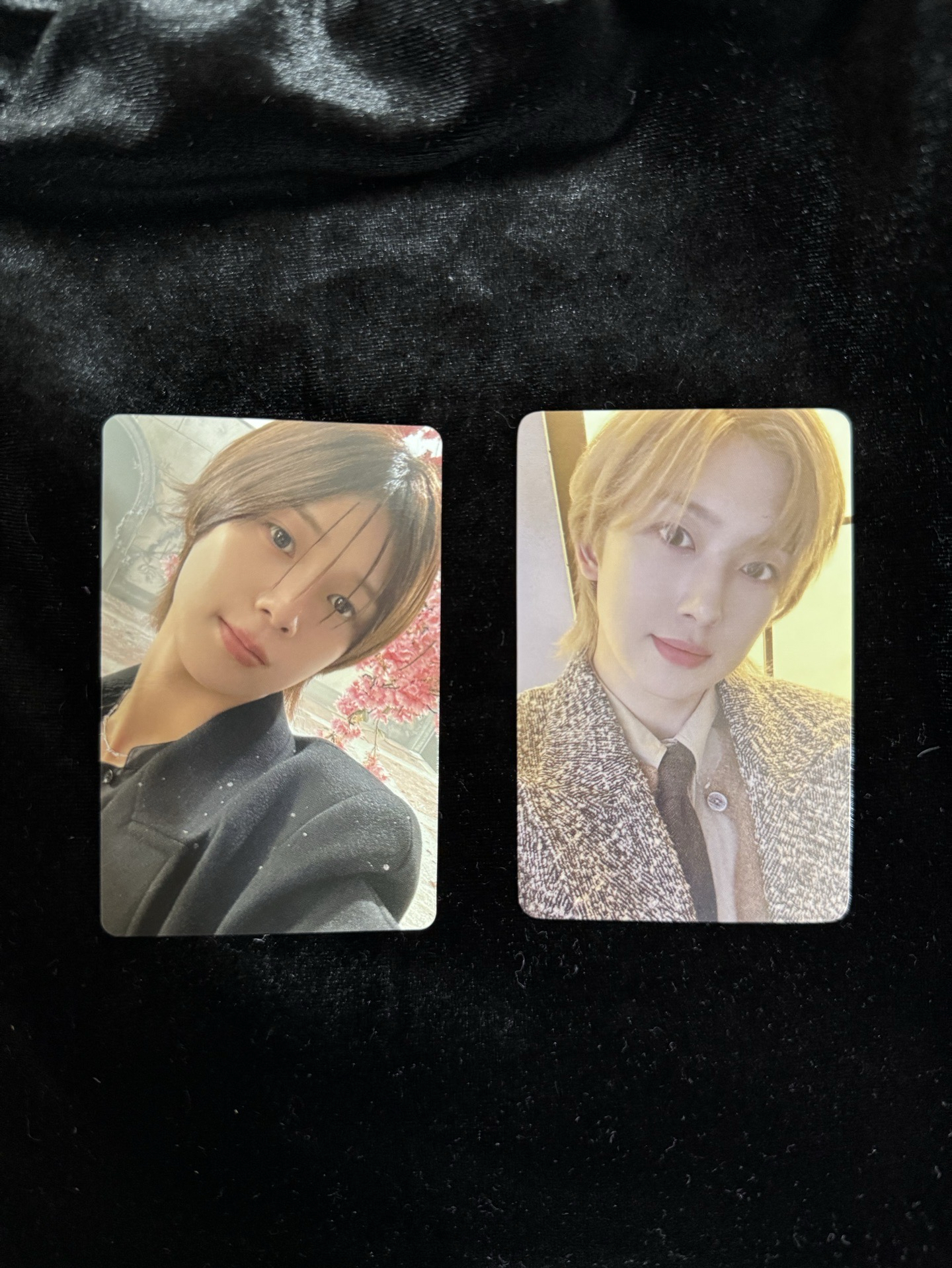 &TEAM 雪明小卡 日咖特典/通常