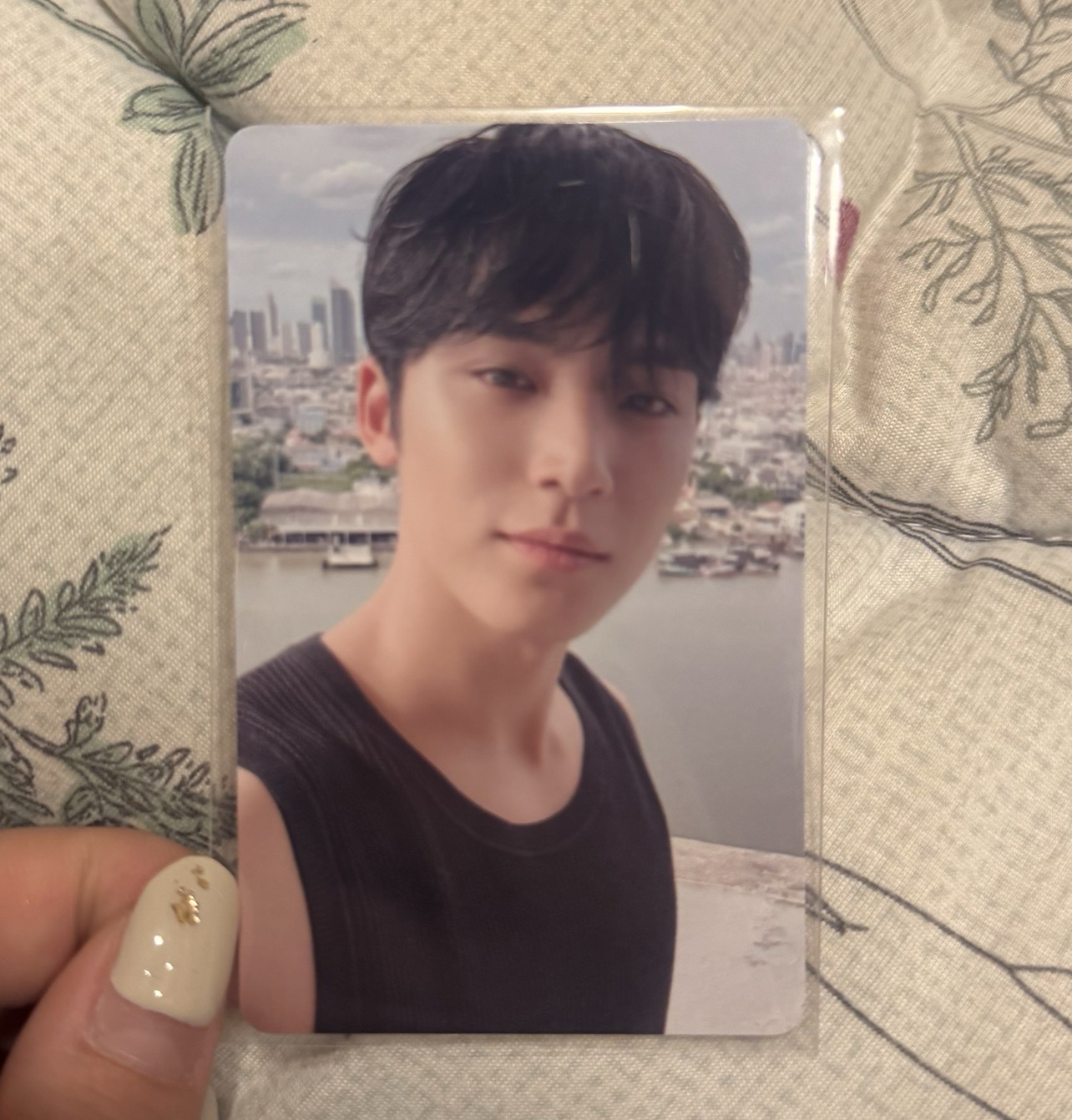 奎 迷12WVS愛知場限