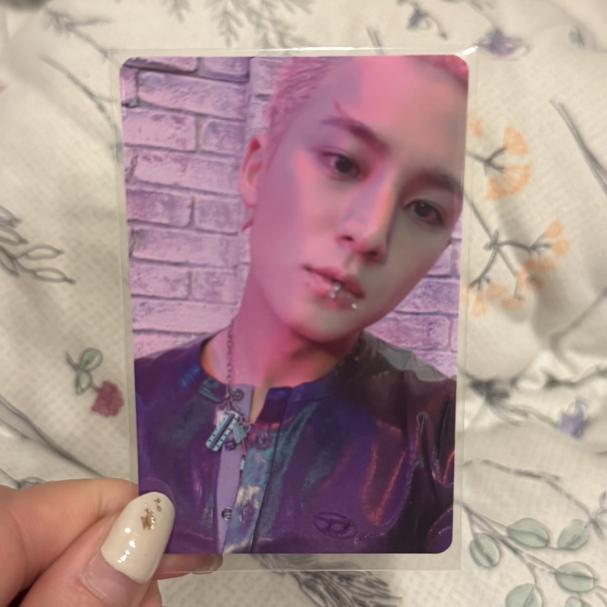 奎 正五 塔店 特典卡 