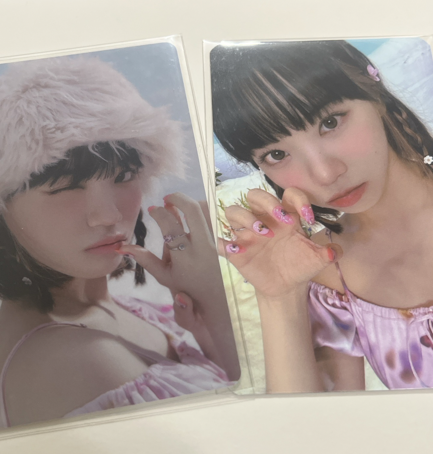 貓爪采+單封預售官拍