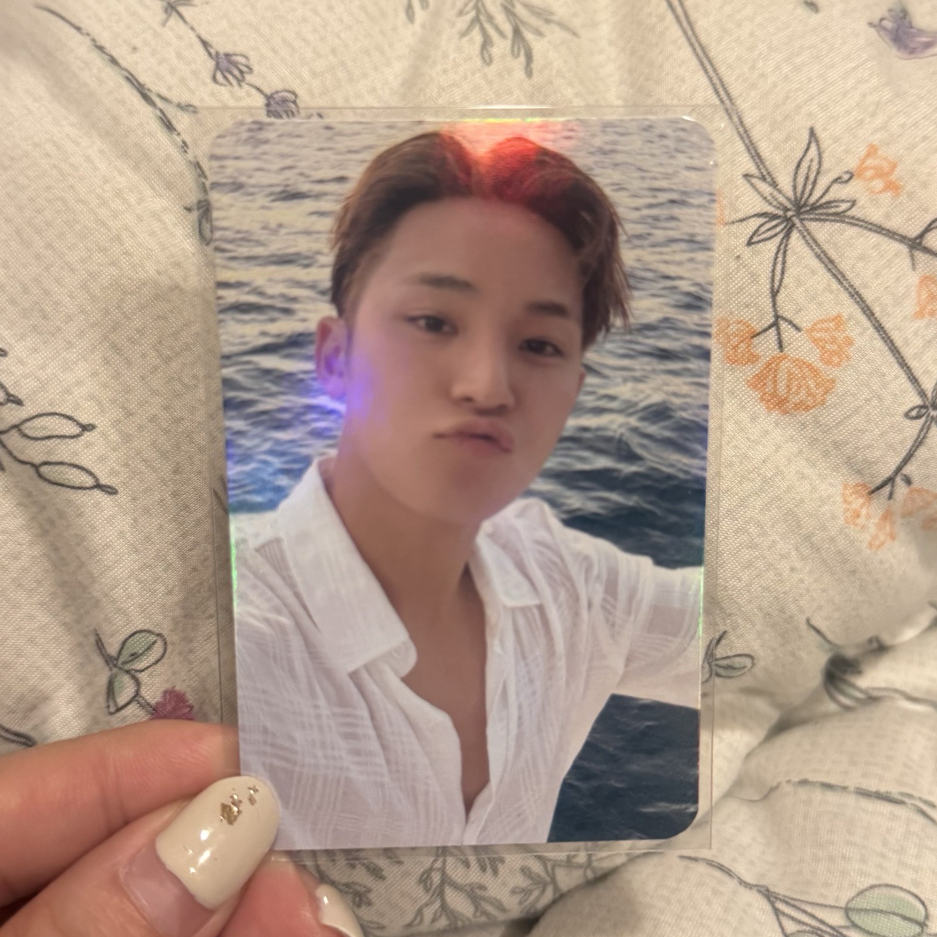 奎 CxM 阿拉丁 PB 特典卡 