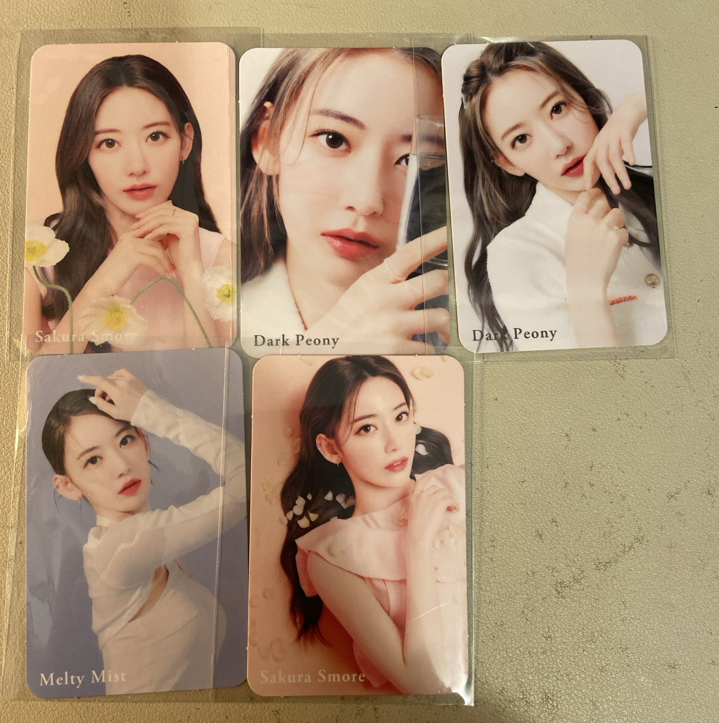 櫻花 隱眼卡 五張不拆