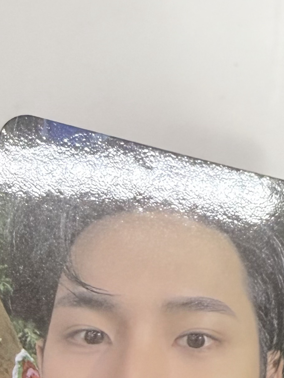 奎 迷11特典(損)🥔°﻿·˚.°﻿·˚