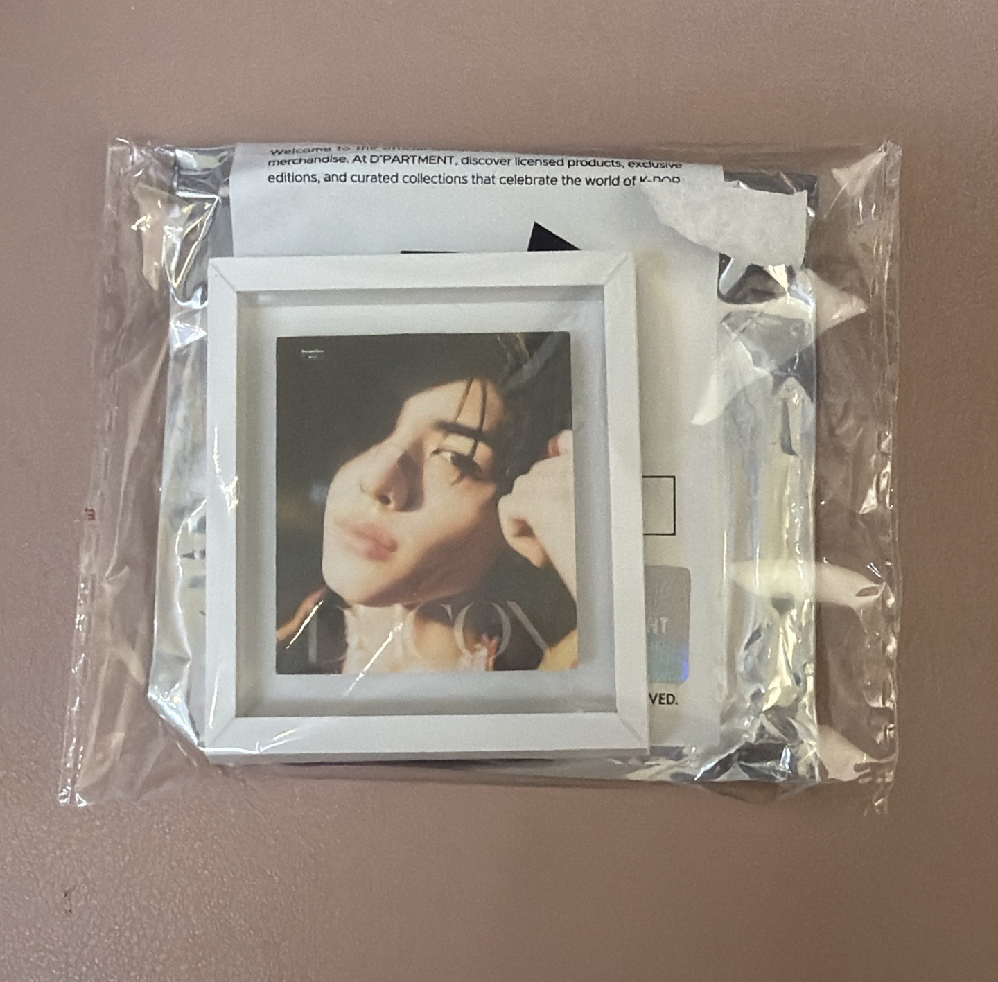 D社 日本快閃 相片磁鐵 B款